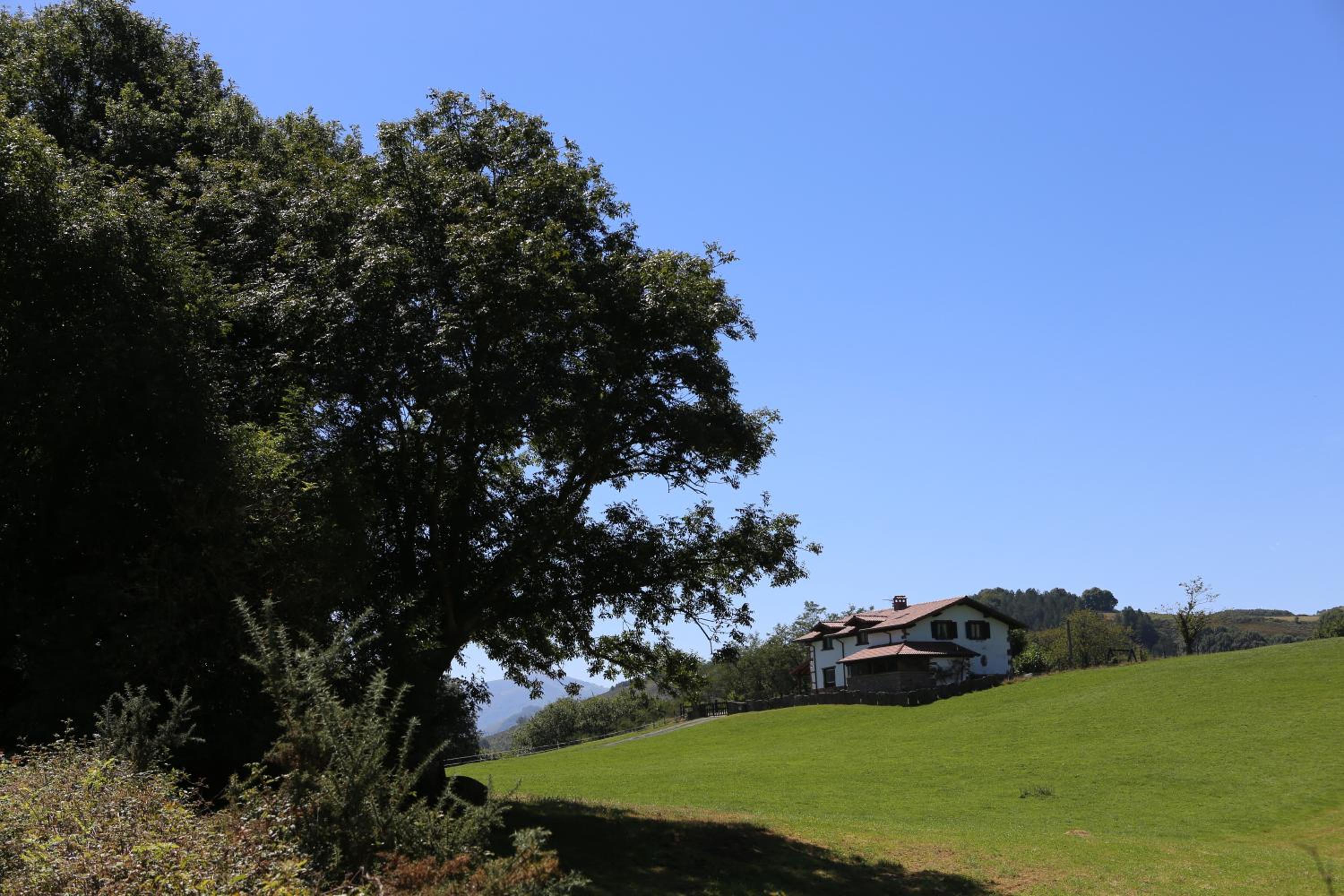 Apaiolarre