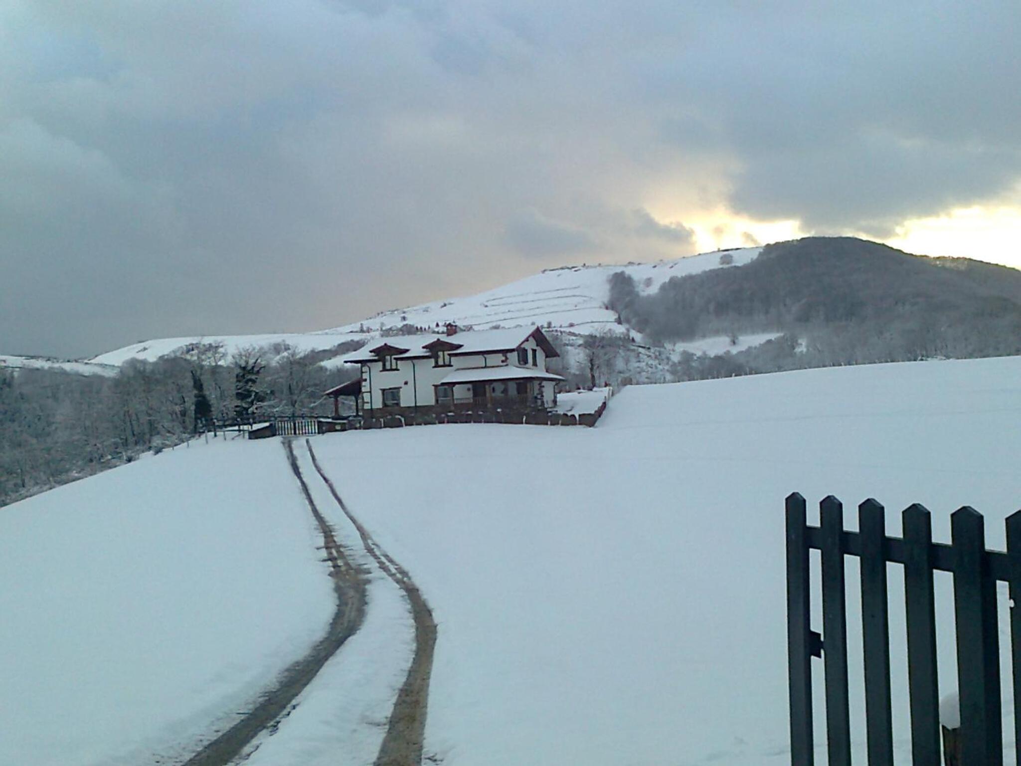 Apaiolarre
