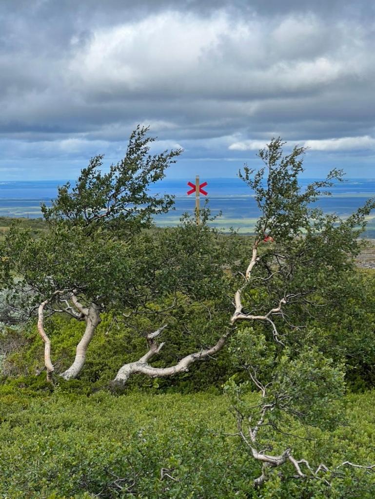 Mysig fjällstuga med direktanslutning till fjället