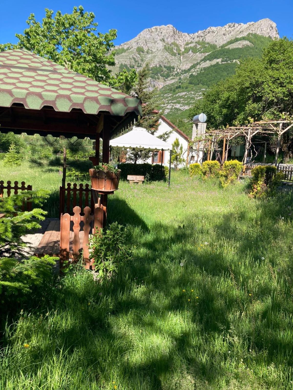 Paja Guesthouse - Camping