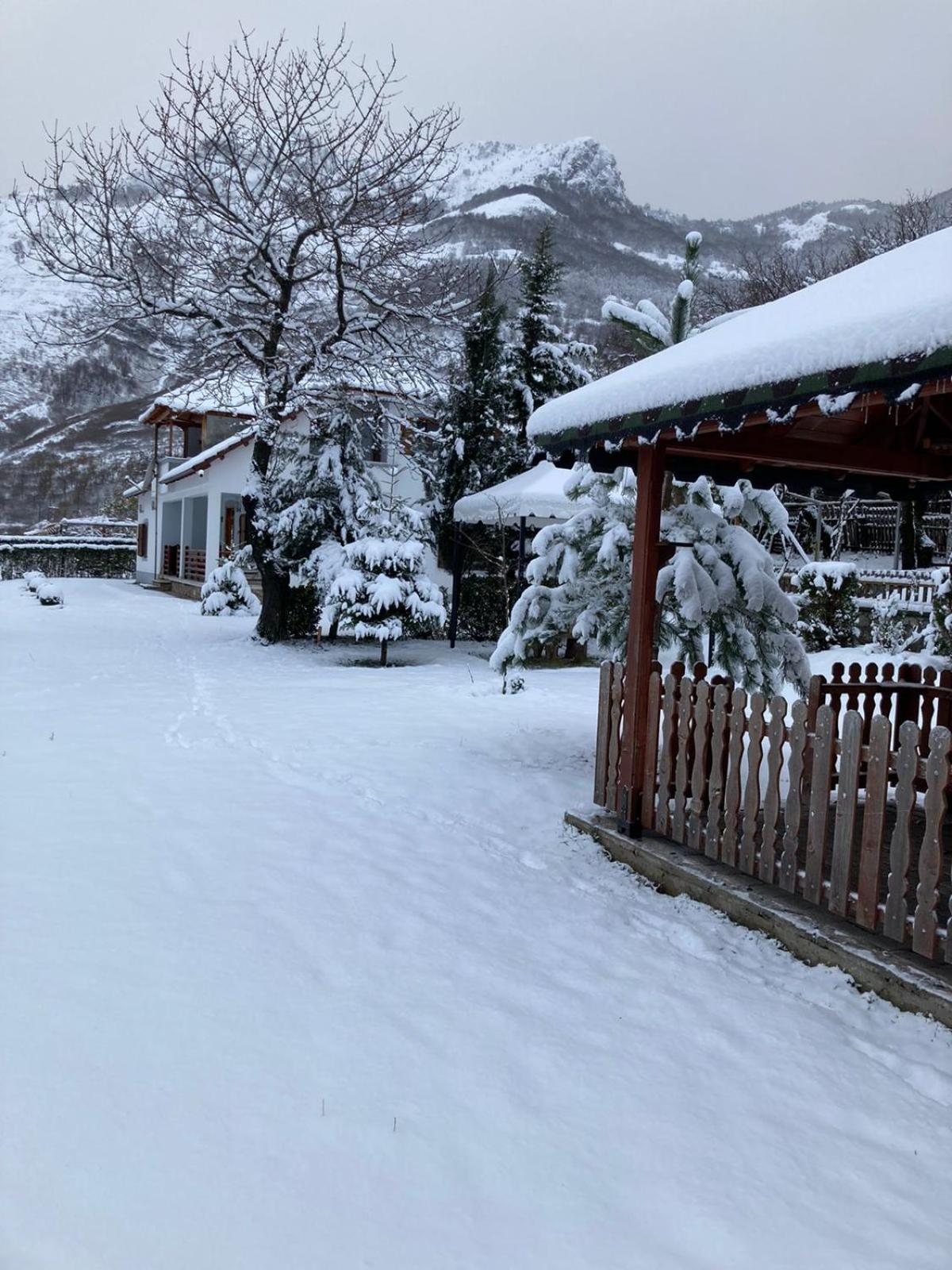 Paja Guesthouse - Camping
