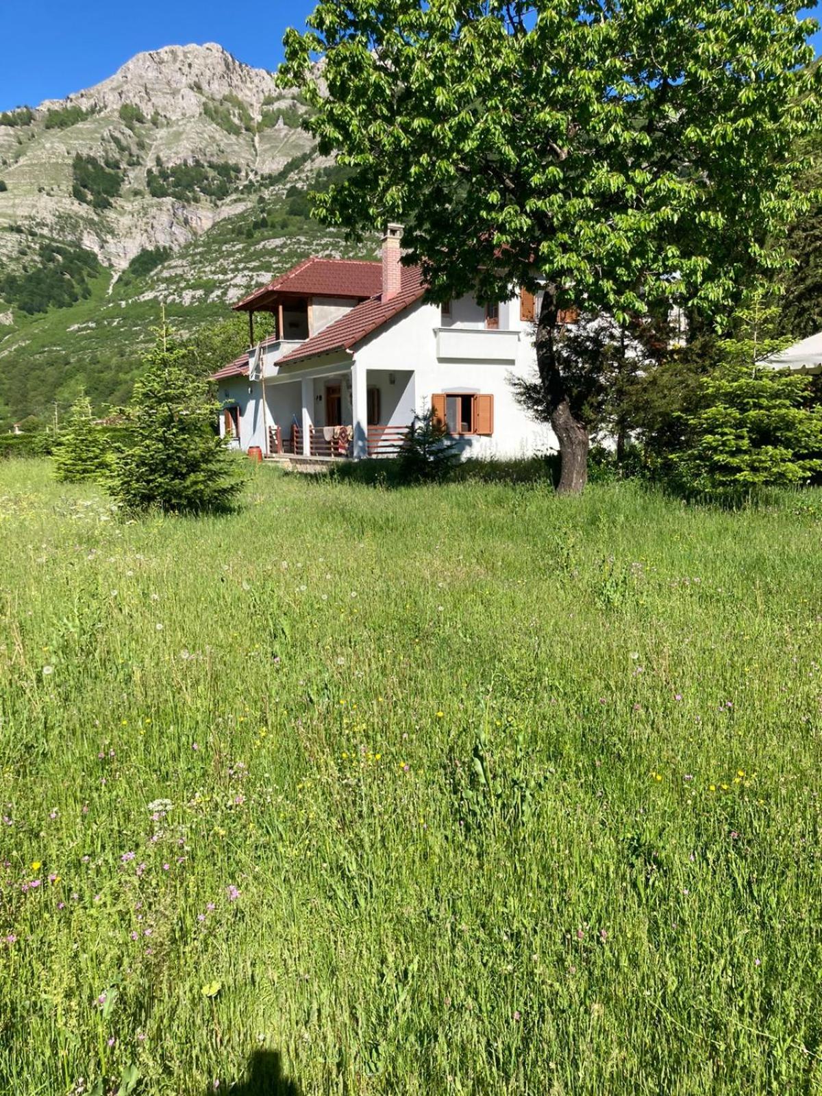 Paja Guesthouse - Camping