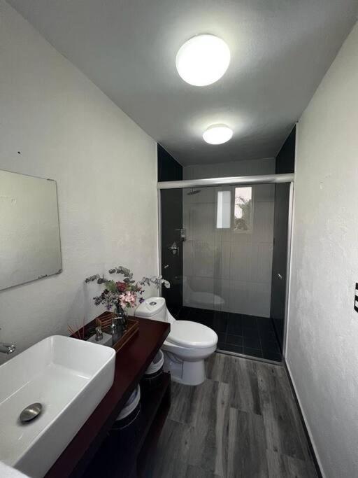 Photo 15