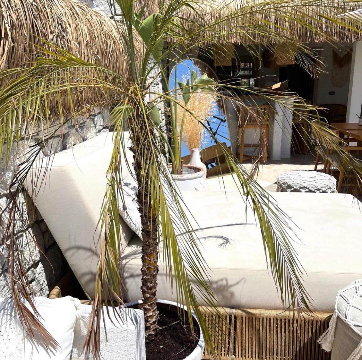 outdoor BBQ area