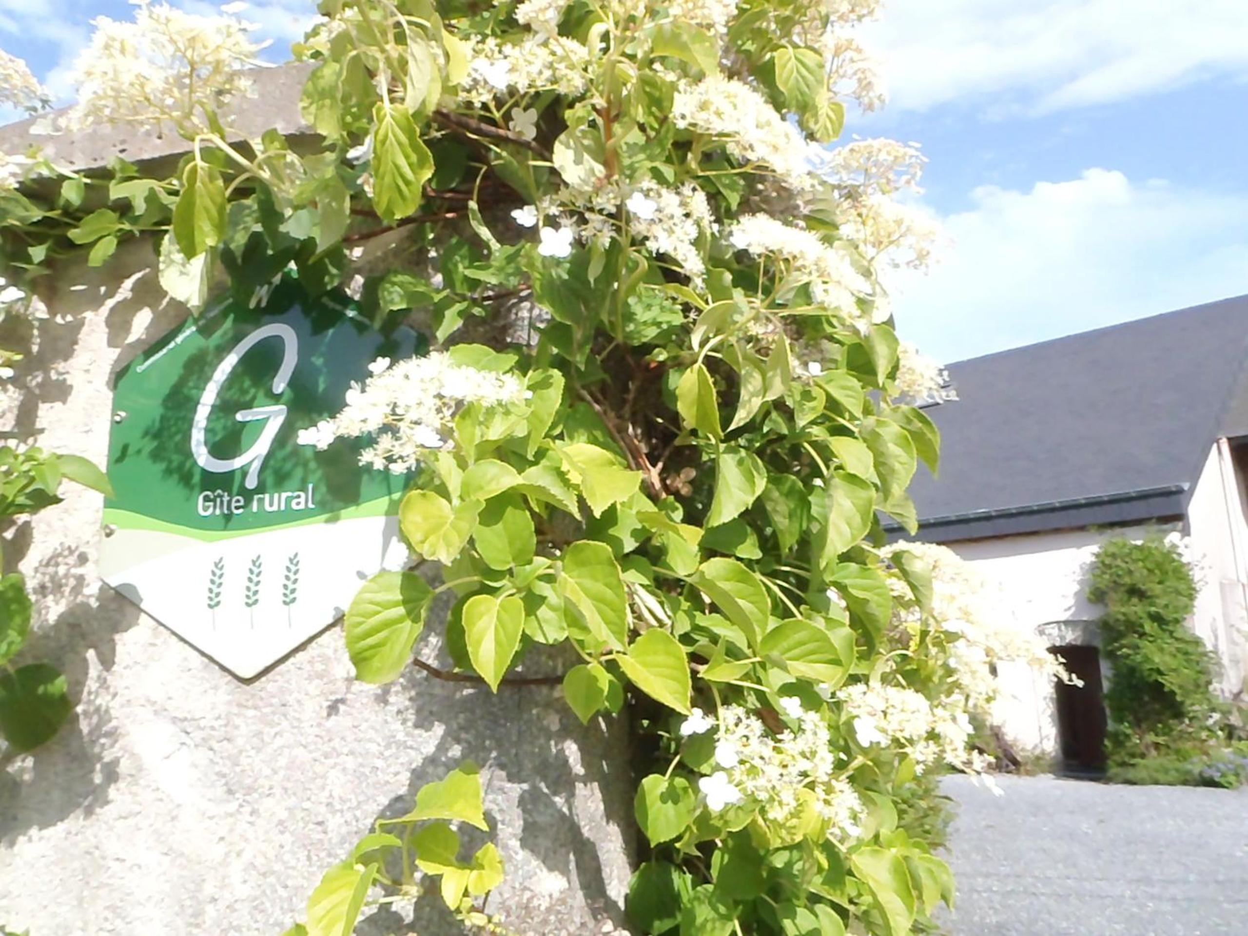 Gites-Clairiere-Ardenne
