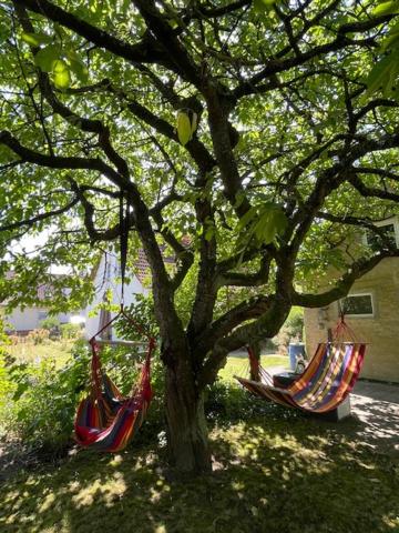 Sommerhaus Boldevitz auf Rügen