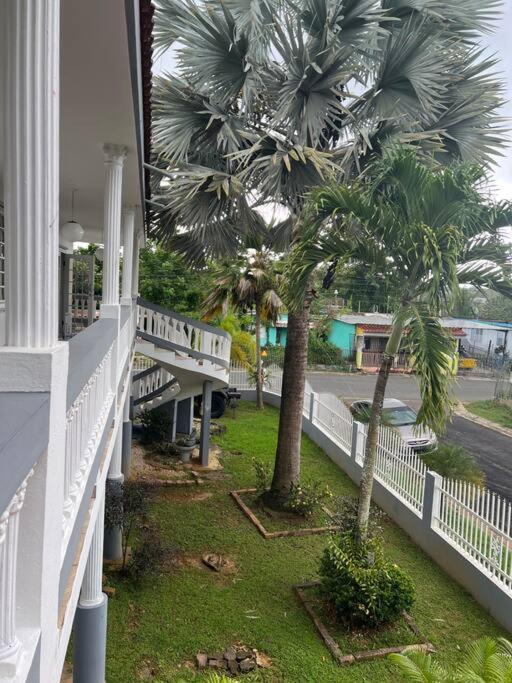 Mayaguez Spacious 3 bedroom villa view 5