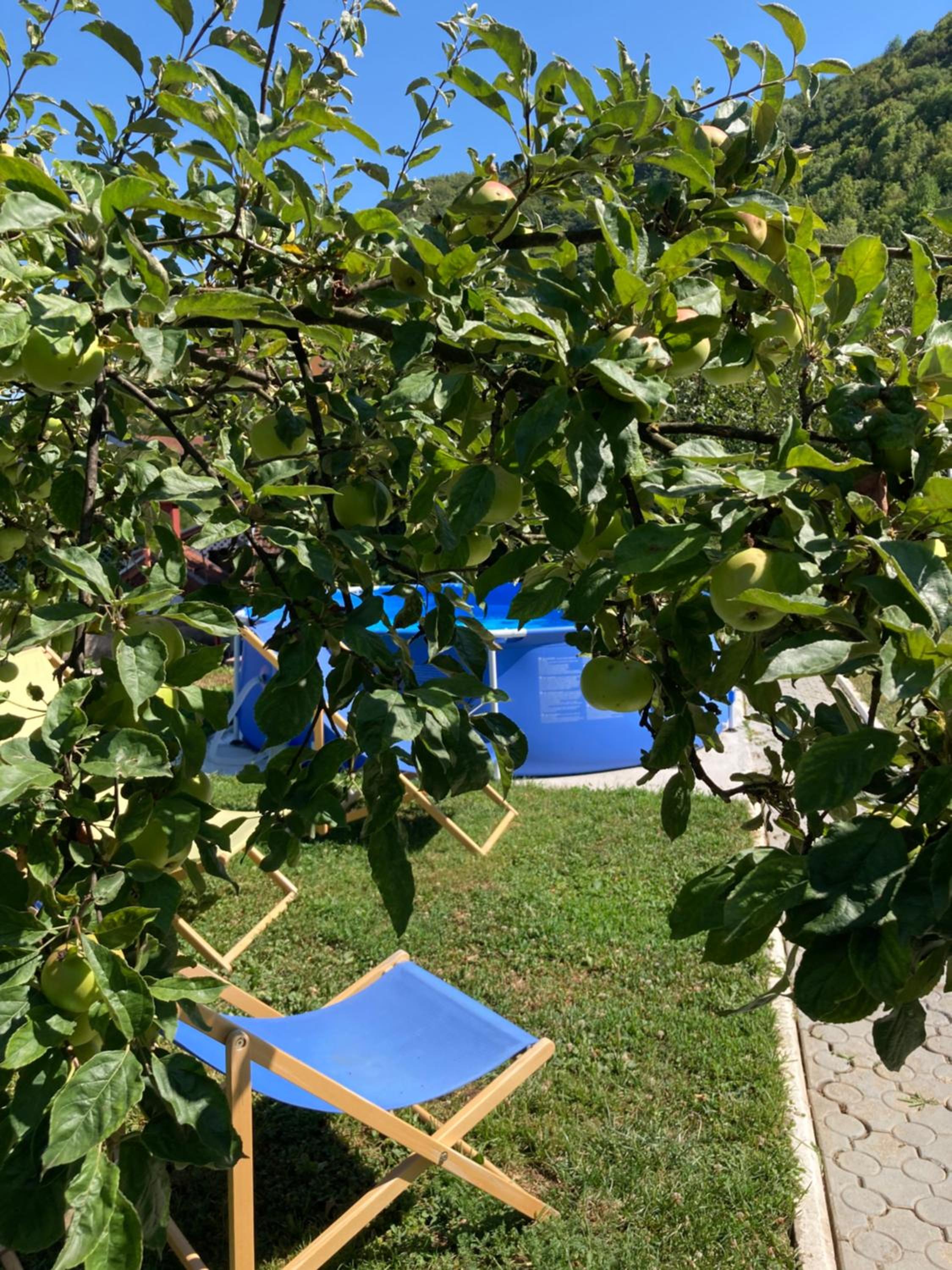 Resting House Oaza
