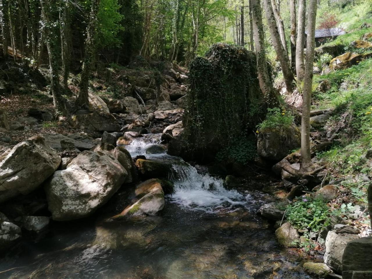 Photo 40