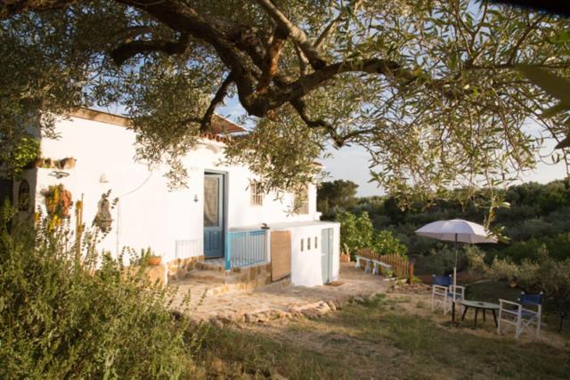 Casa Rural Delta del Ebro Ecoturismo view 3