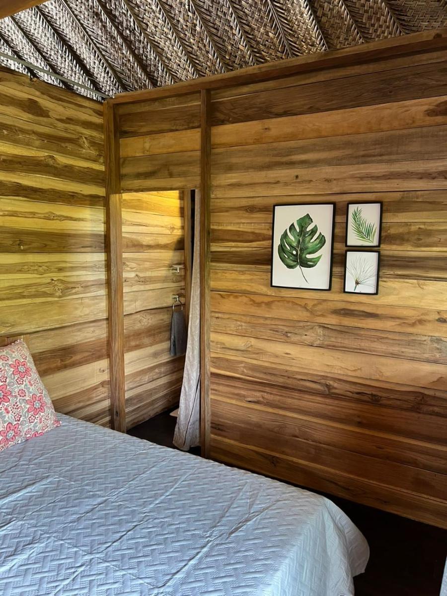Palm Beach Hostal