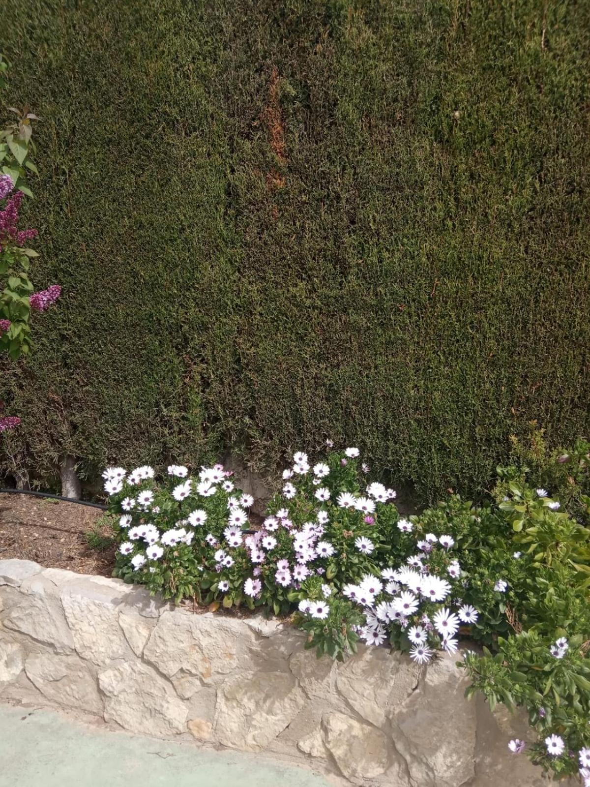 Photo 44