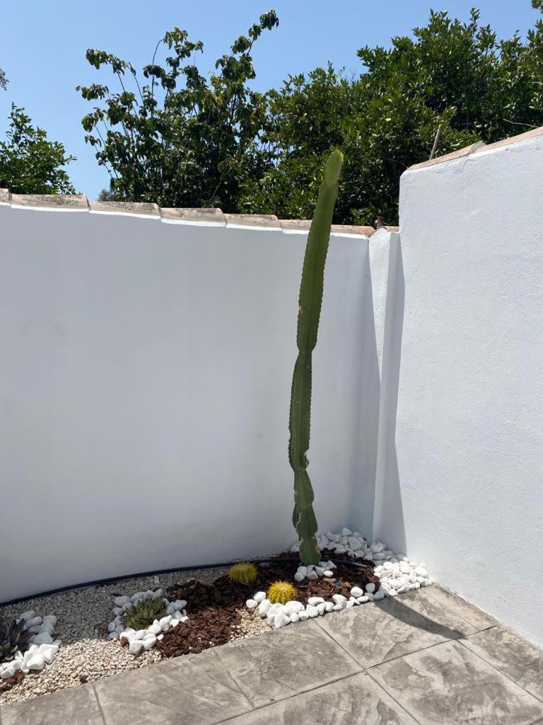Estupenda Villa con piscina