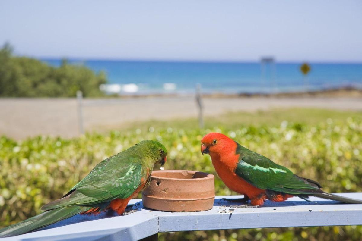 Seaclusion Private Access to Beach and Pet Friendly