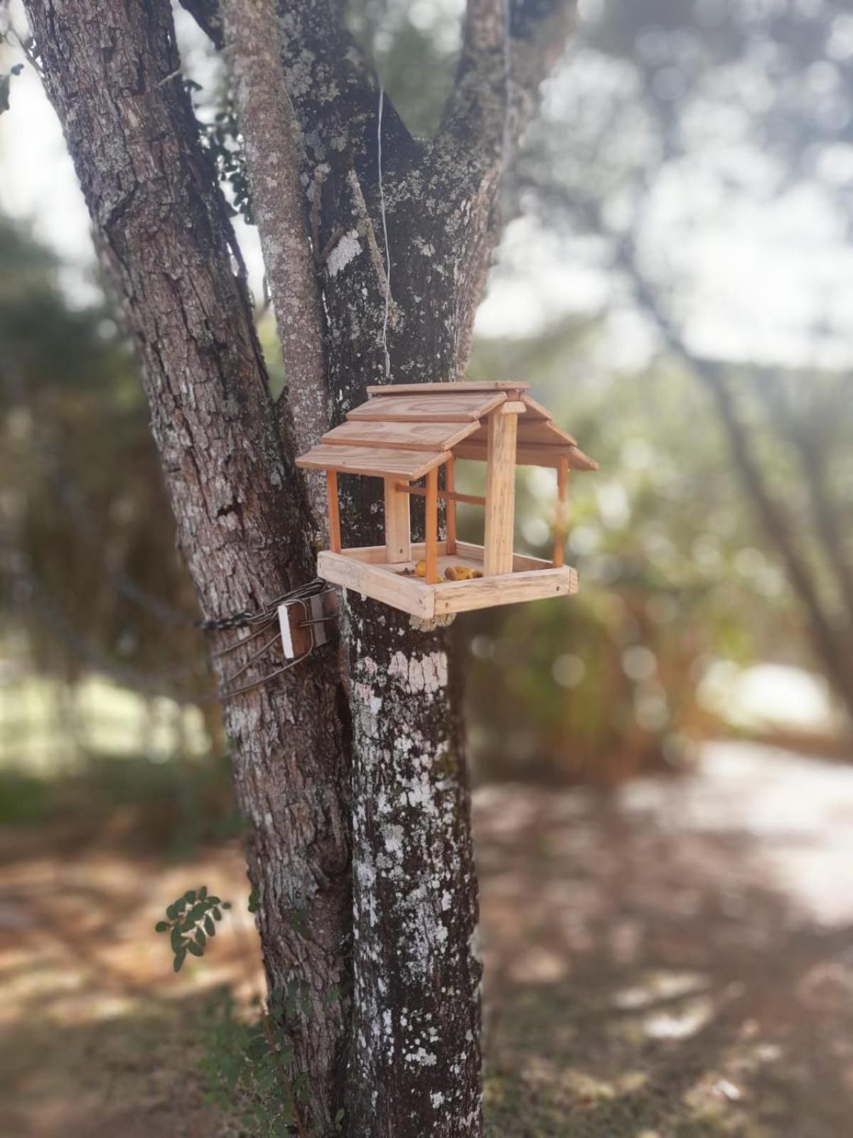 Biju's Little Farm