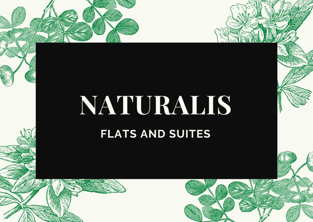 Naturalis Flats Temp Rental
