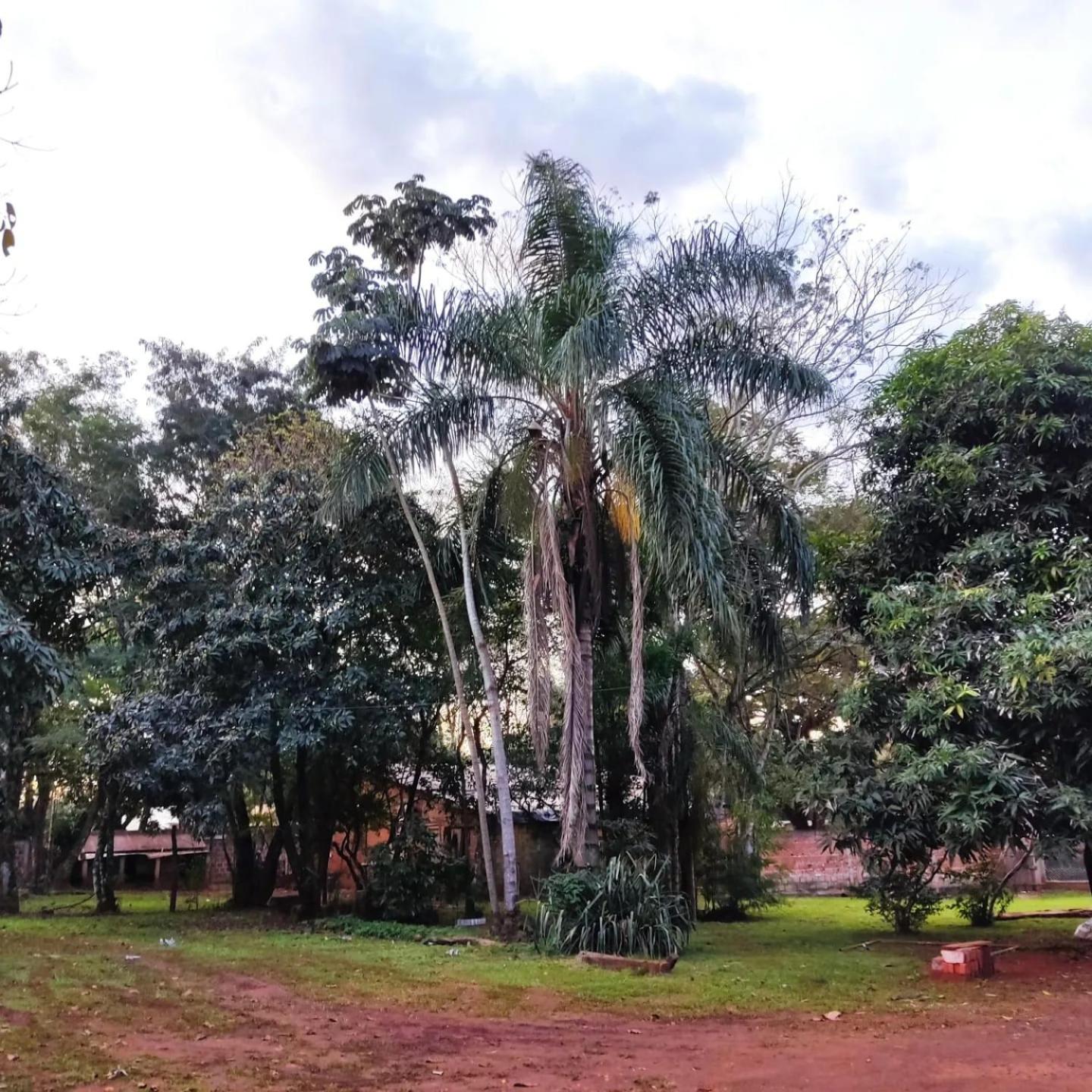Naturalis Flats Temp Rental