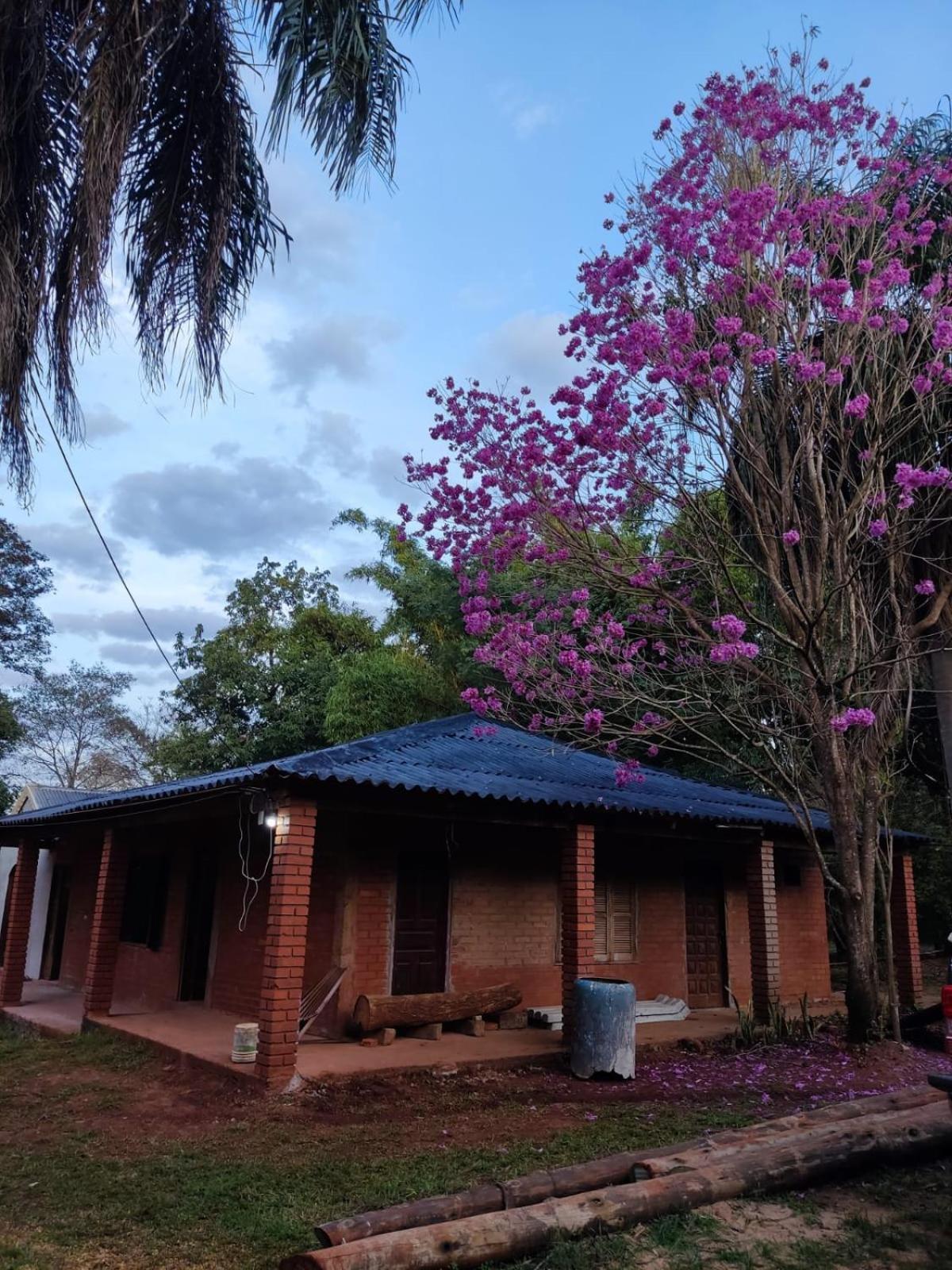 Naturalis Flats Temp Rental