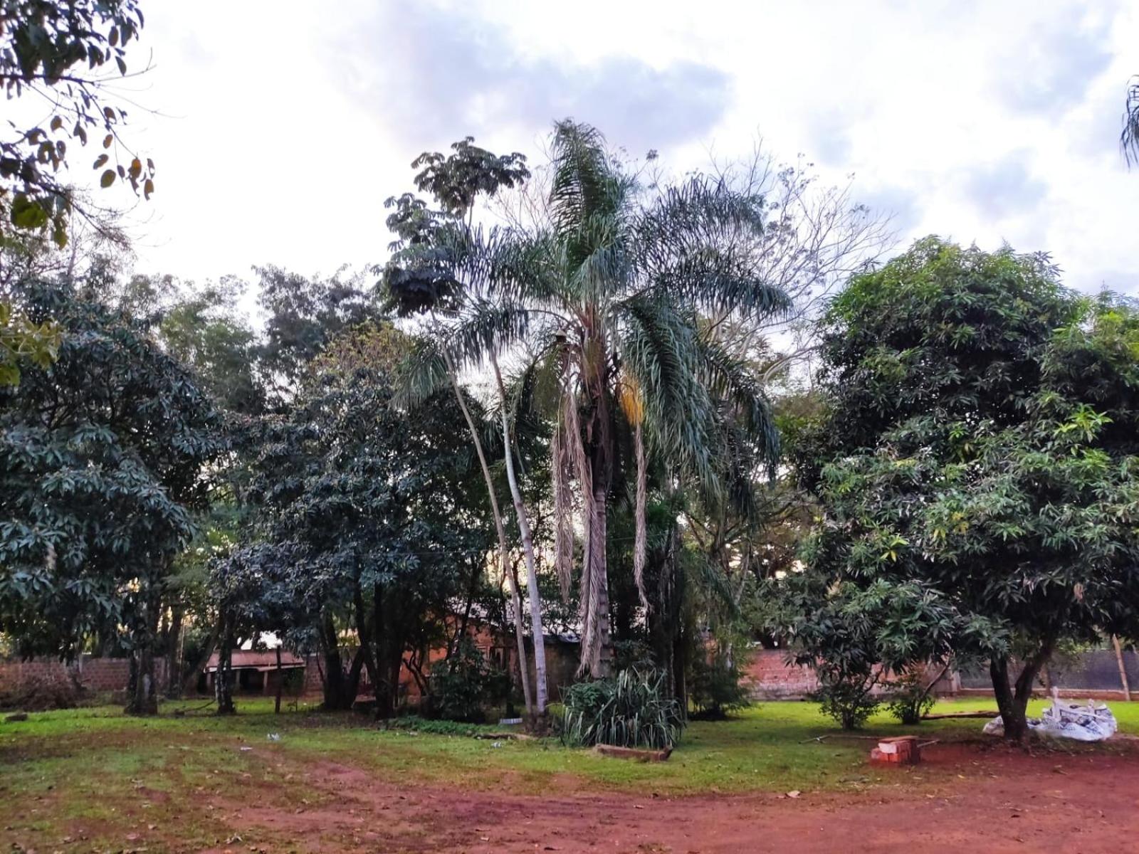 Naturalis Flats Temp Rental