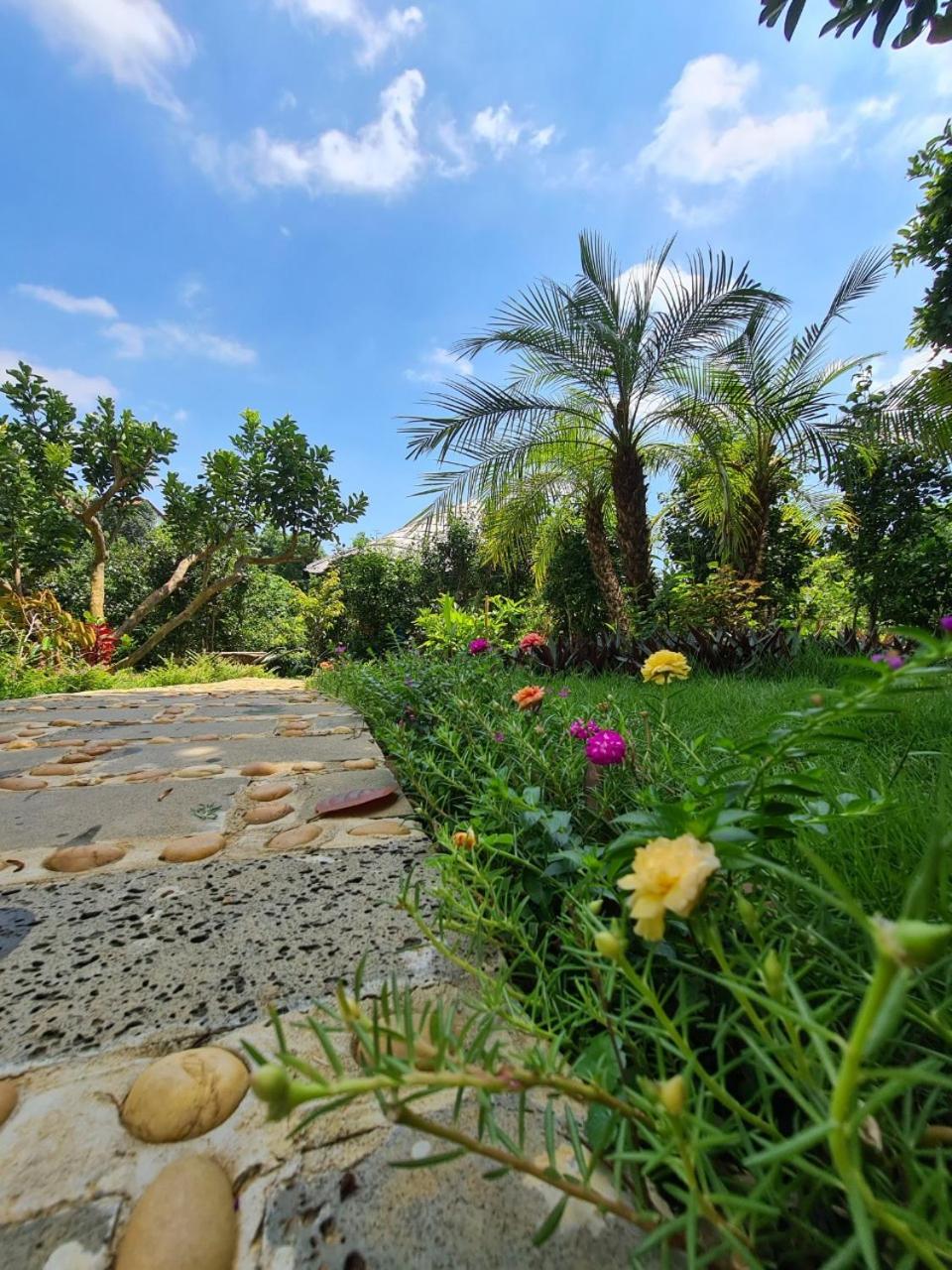 ByVe Garden
