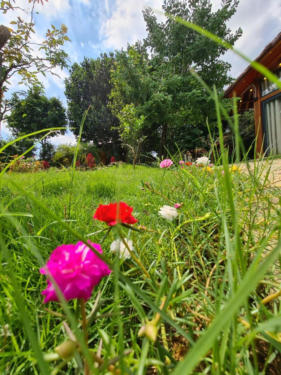 ByVe Garden