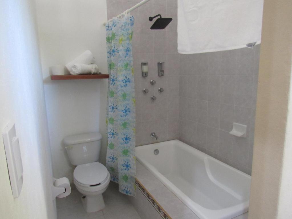 Photo 19