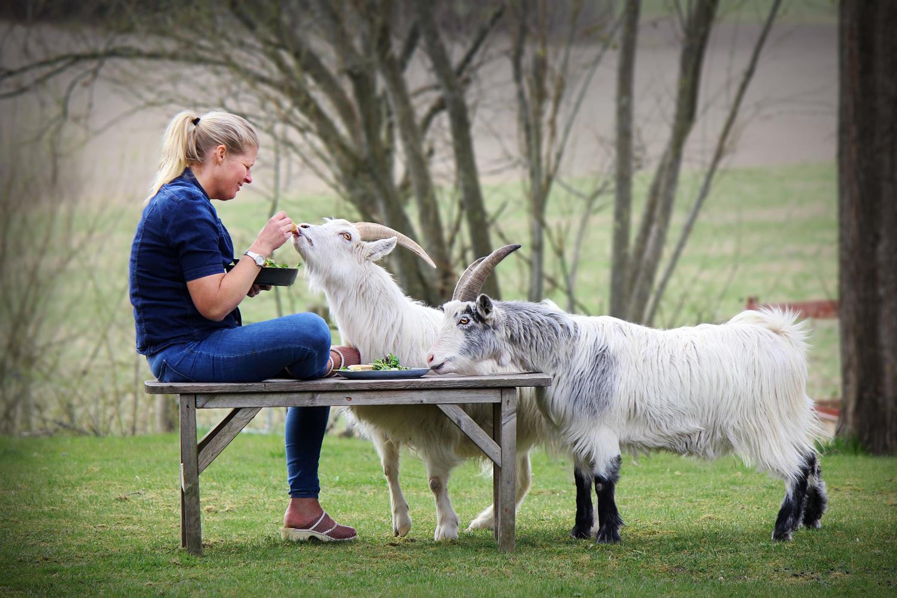Toric Farmlodge