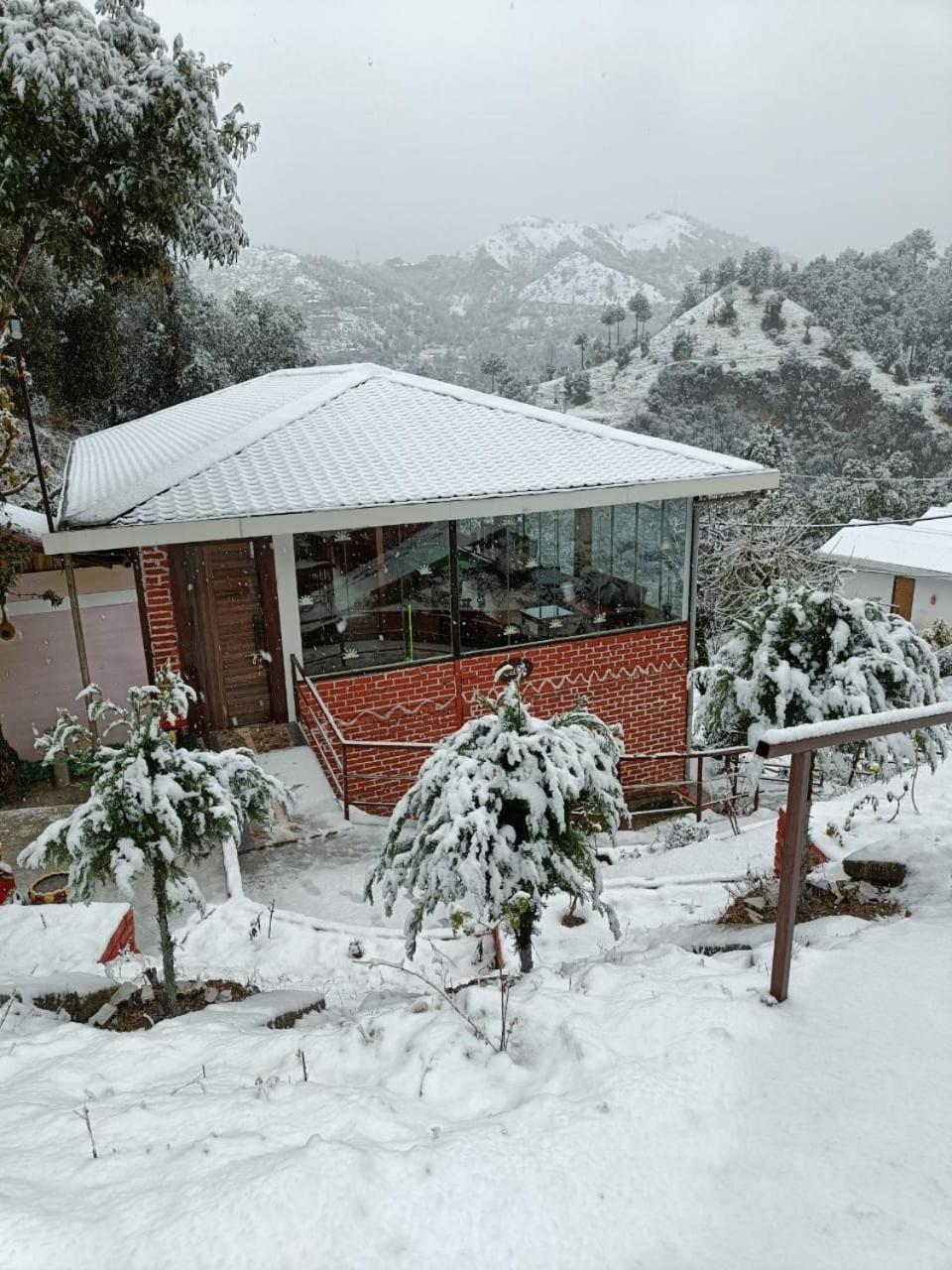 Skywood Resort Shoghi view 4