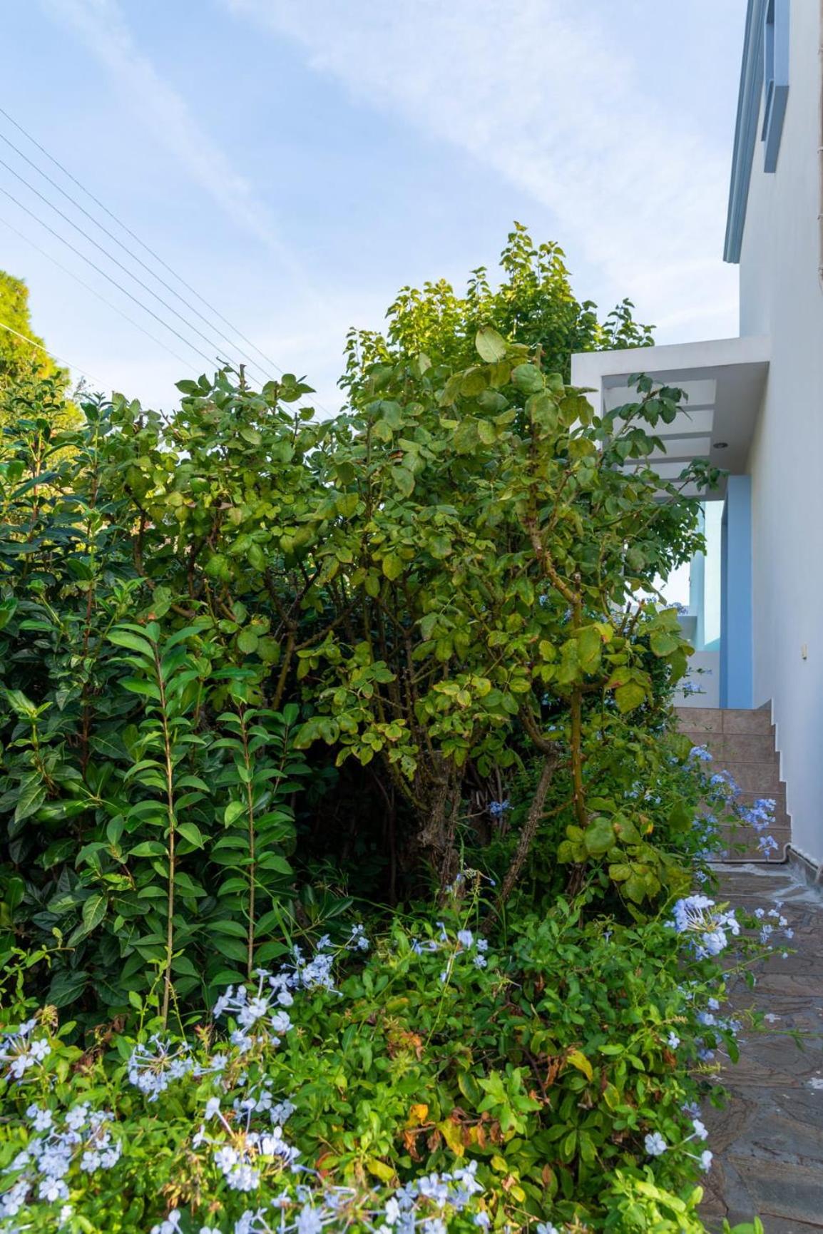 Porto sea view house - 15min from Athens airport - AC - WIFI - PARKING