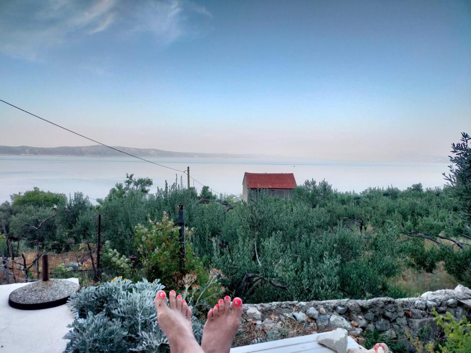 Photo 61