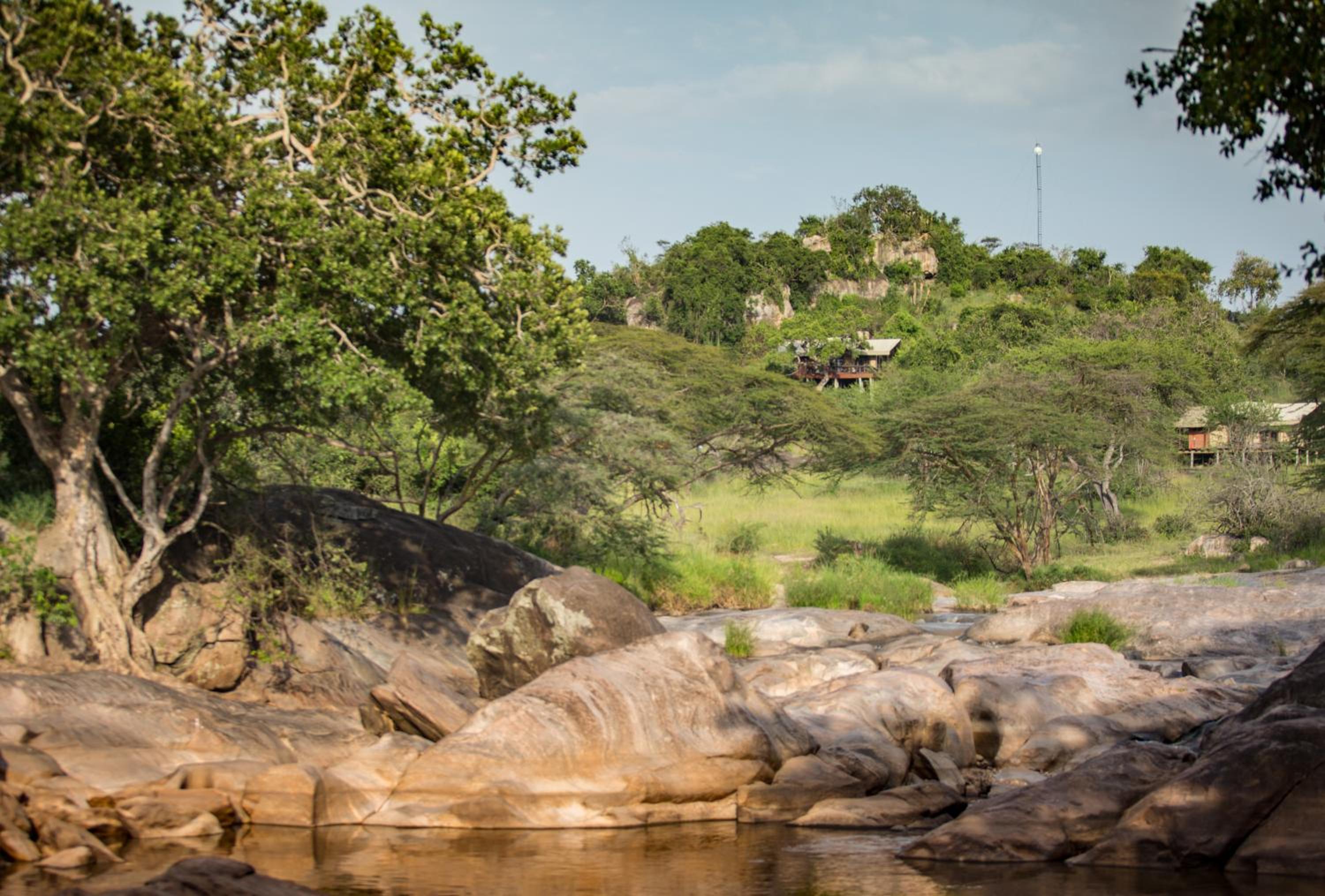 Serengeti Migration Camp view 5