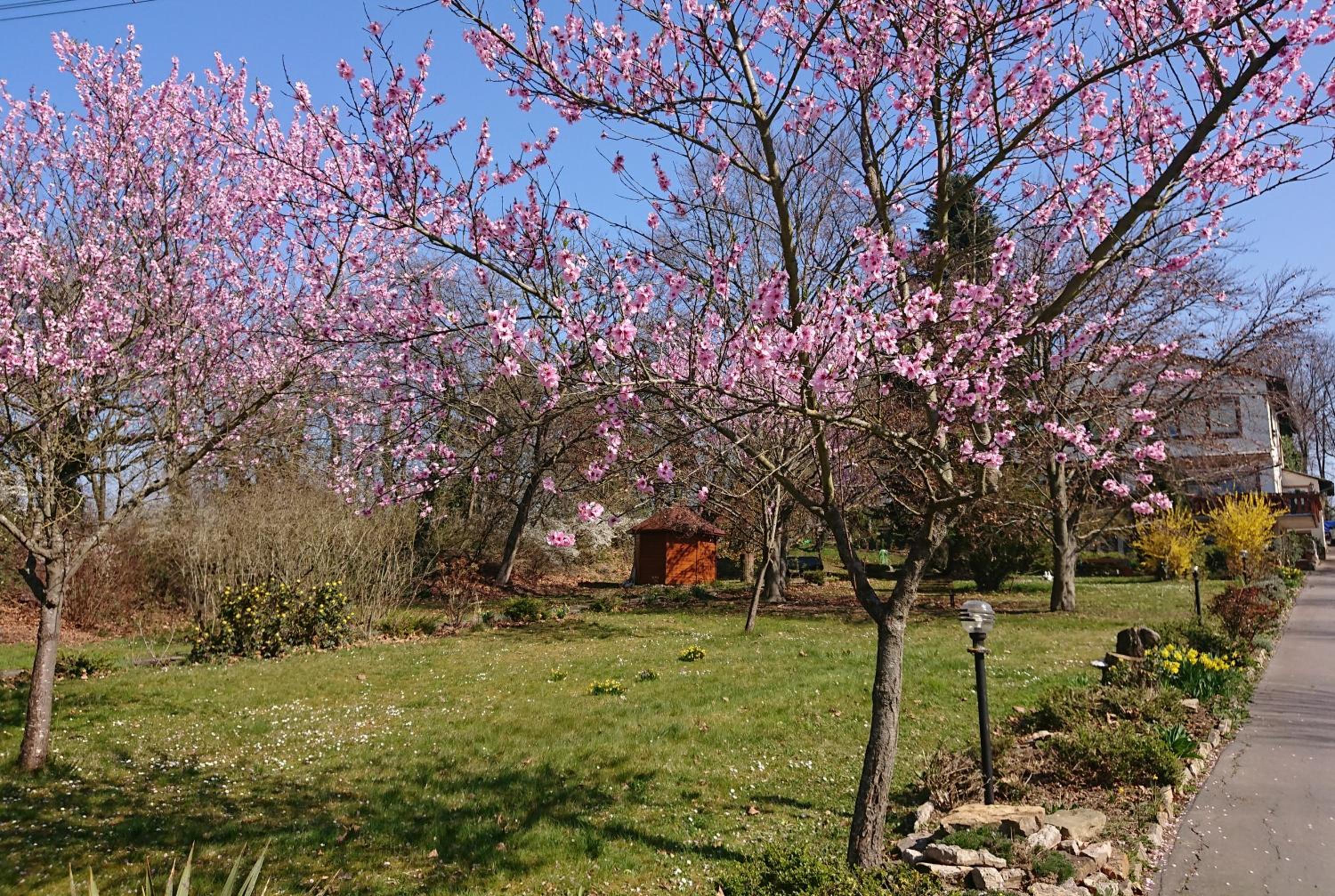 Landgasthof Gänsberg