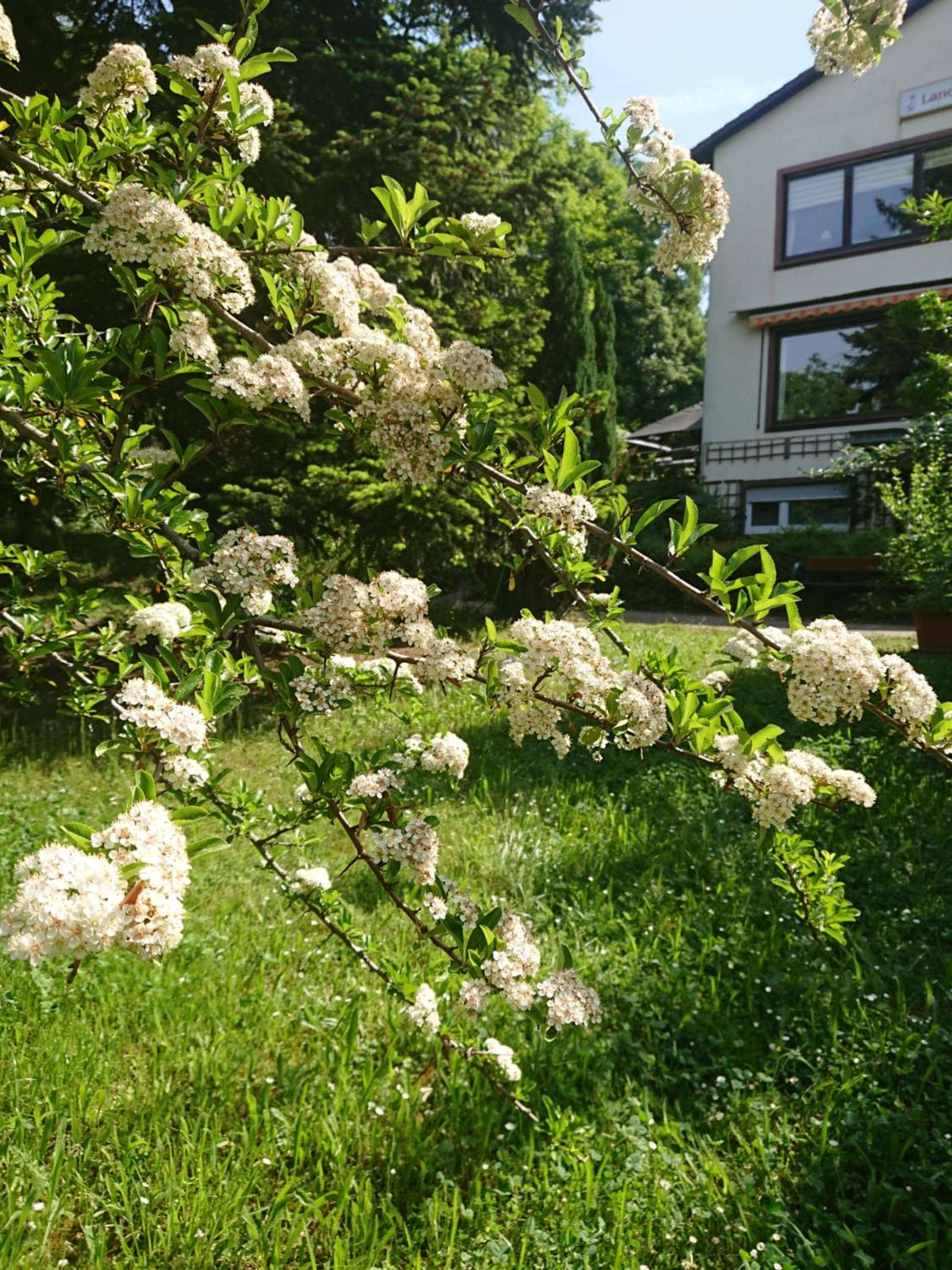 Landgasthof Gänsberg
