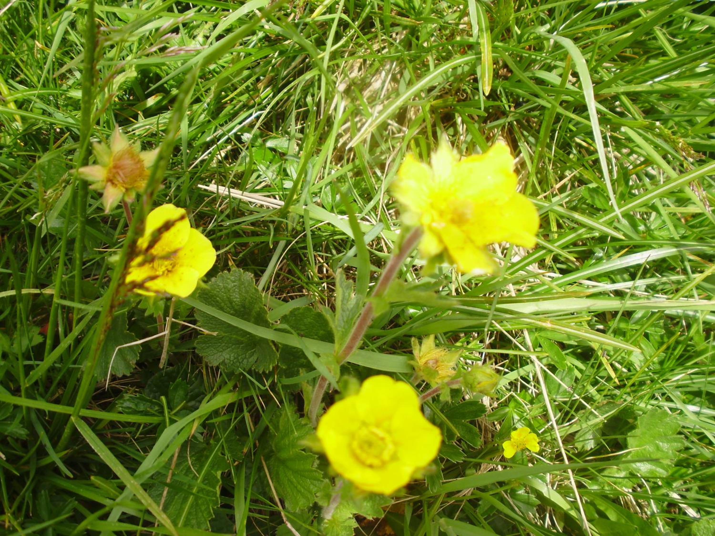 Photo 45