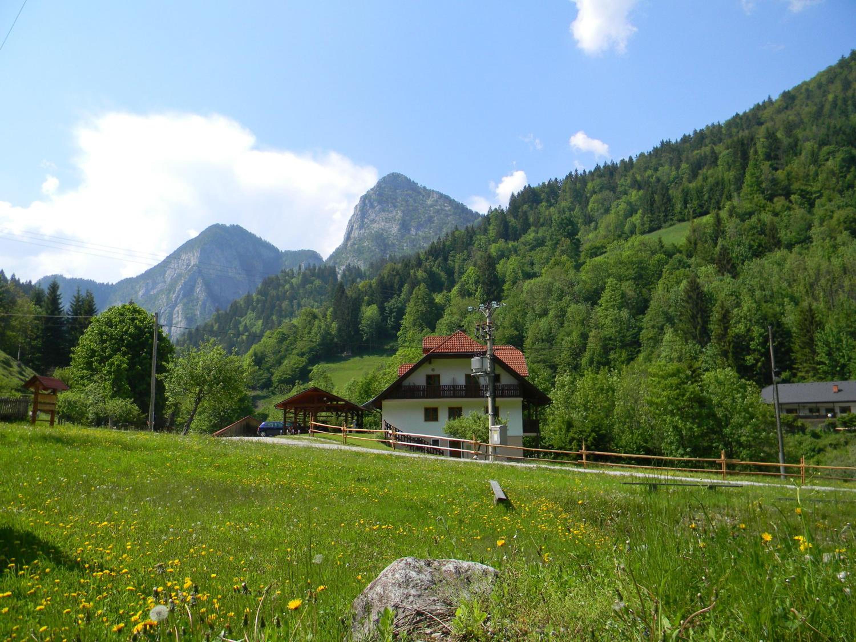 Photo 16