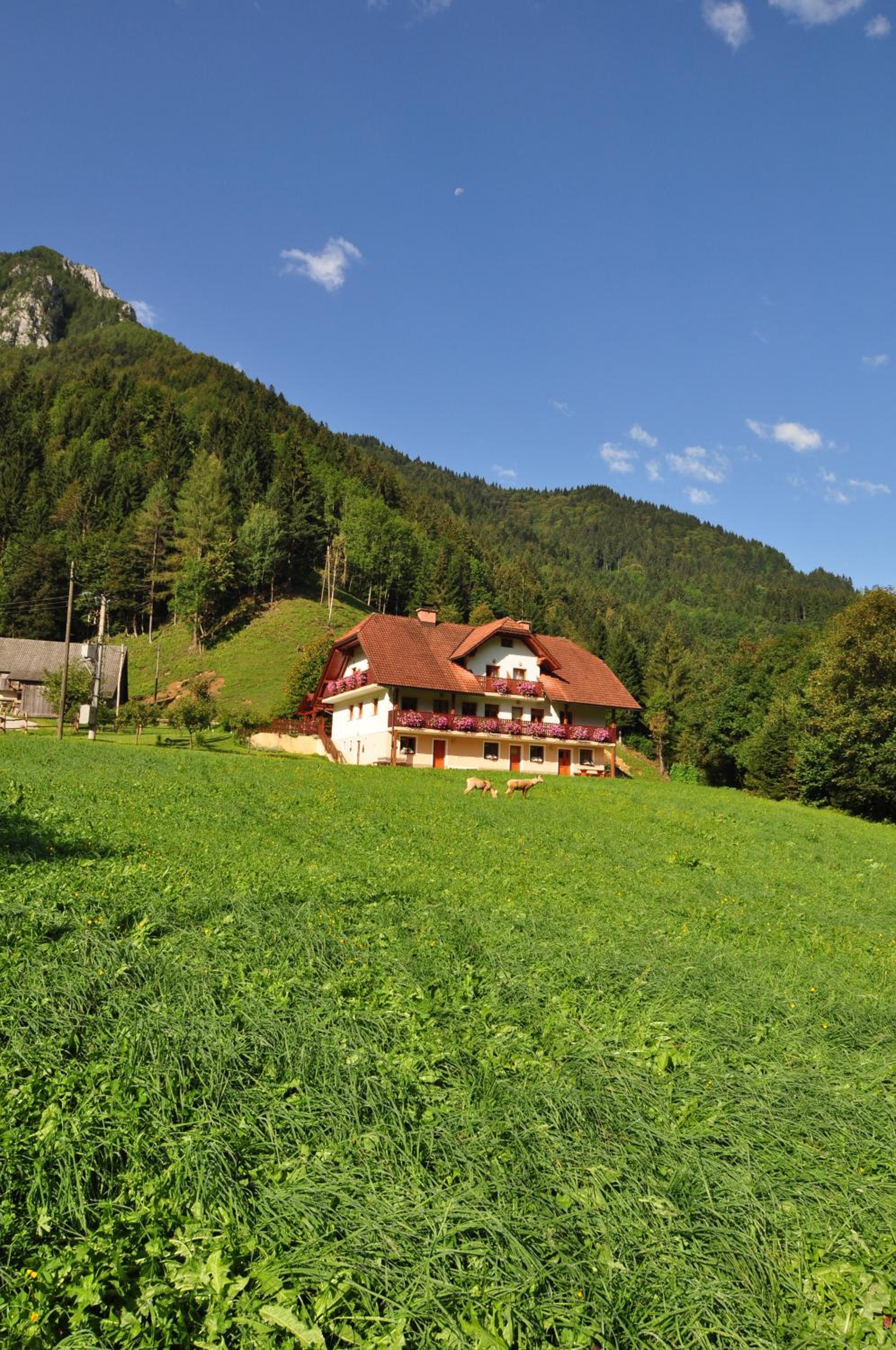 Photo 14
