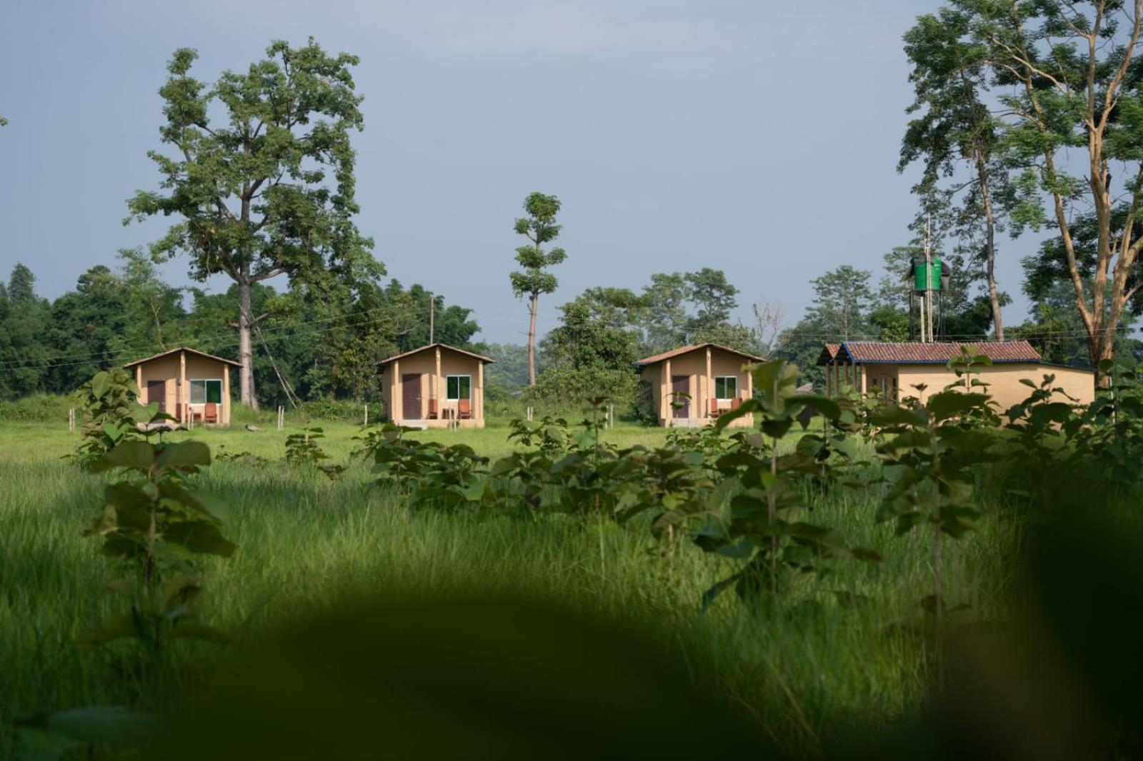 Namaste Bardiya Resort view 3