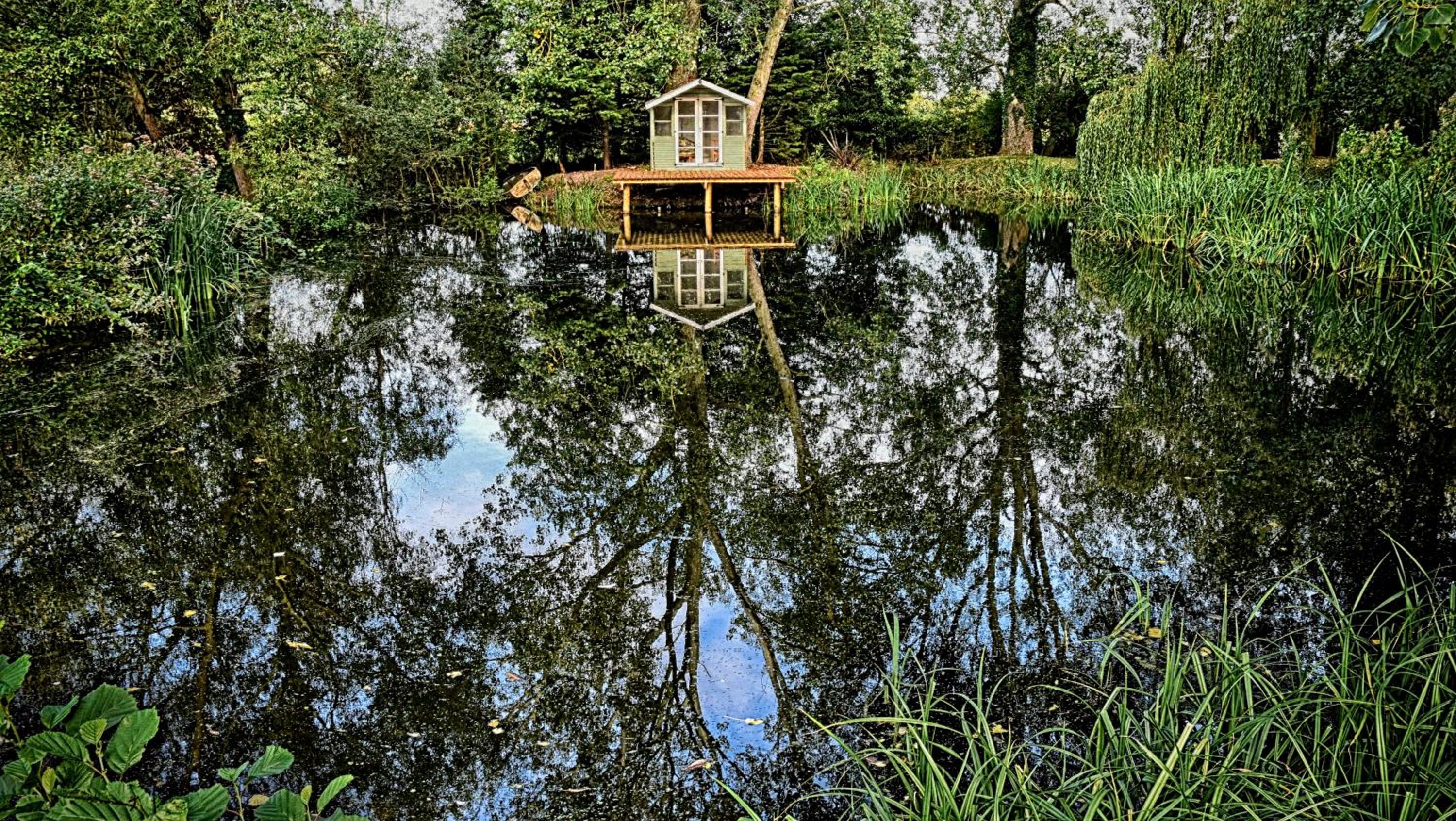Photo 12