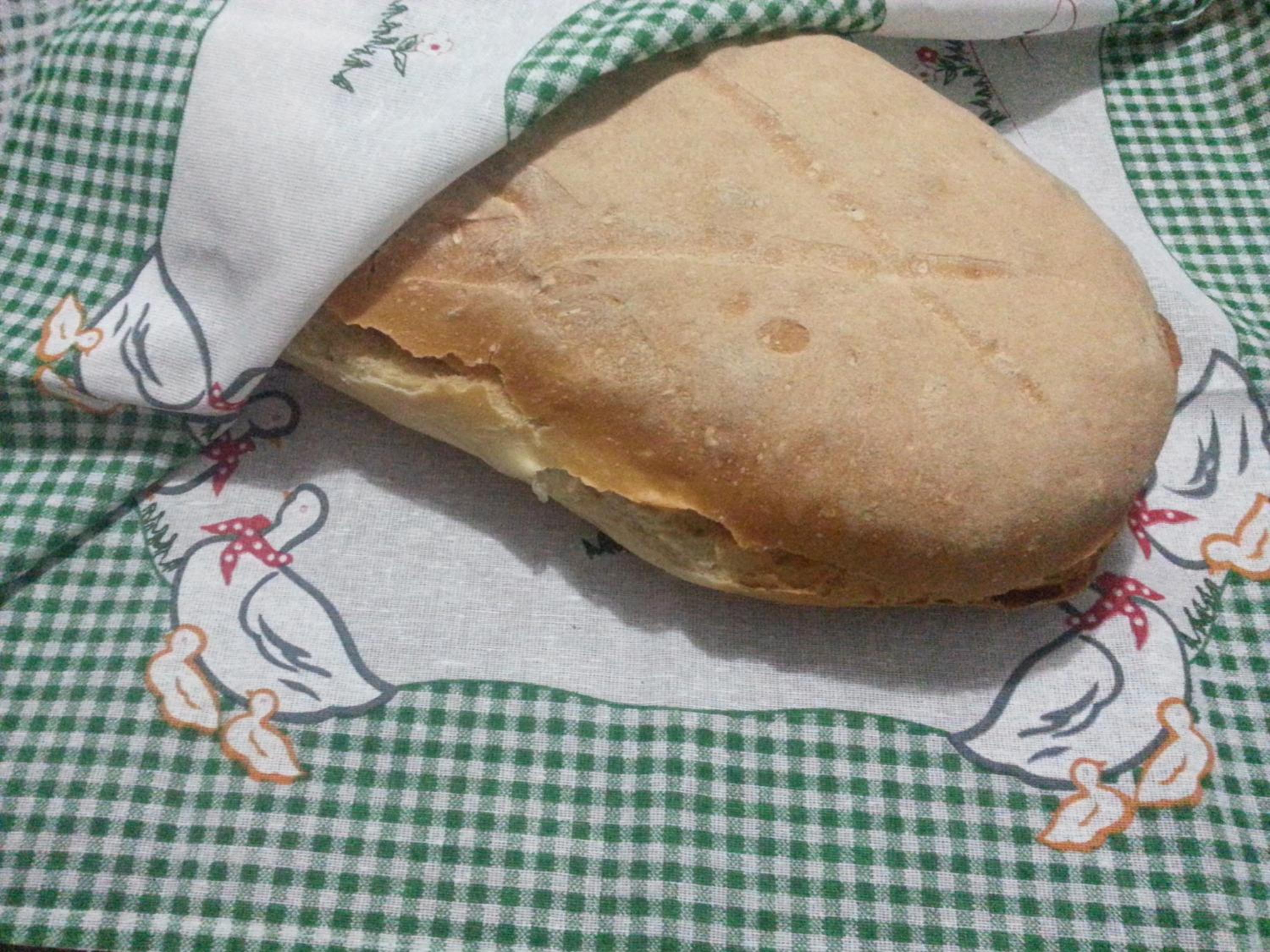 Photo 46
