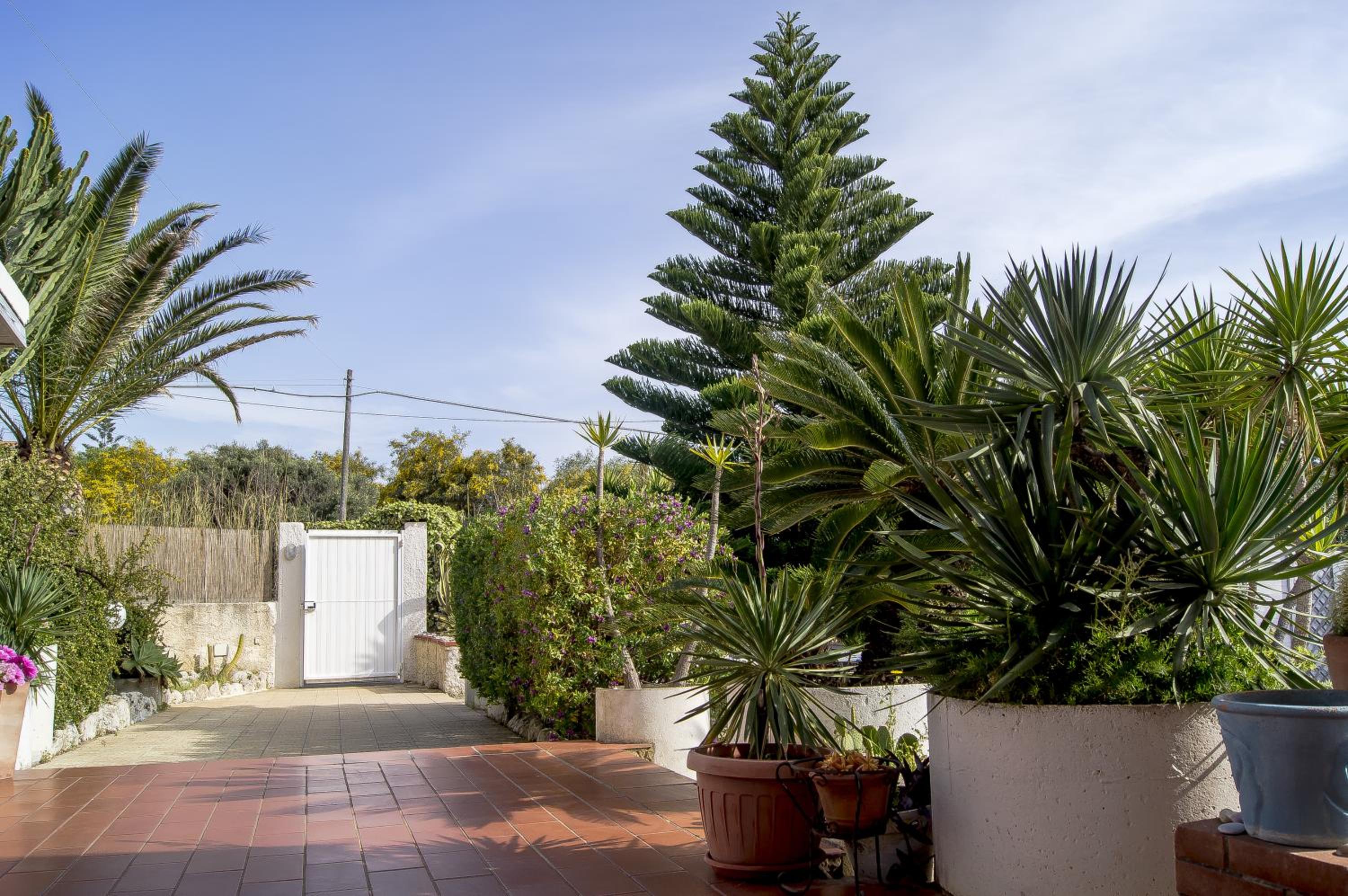 Villa Cetta B&B, photo 60