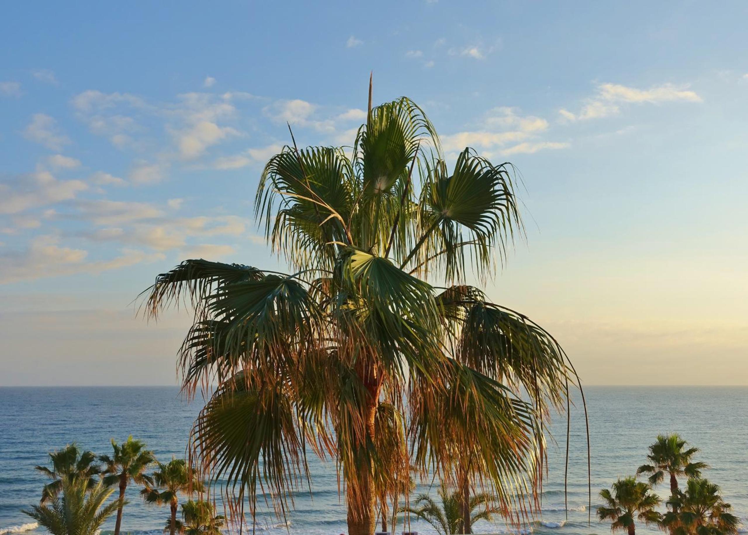 Dona Lola Patricia - Spacious 3 bedroom top floor apartment with uninterrupted sea views - Only a few meters to Calahonda beach - Costa del Sol - CS188 view 4