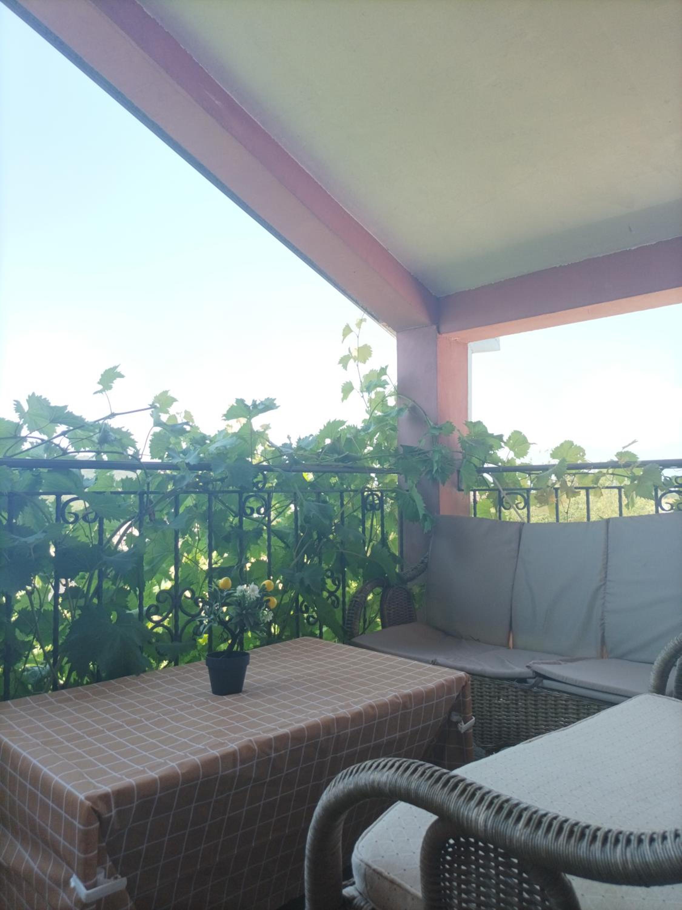 Apartman Balsa