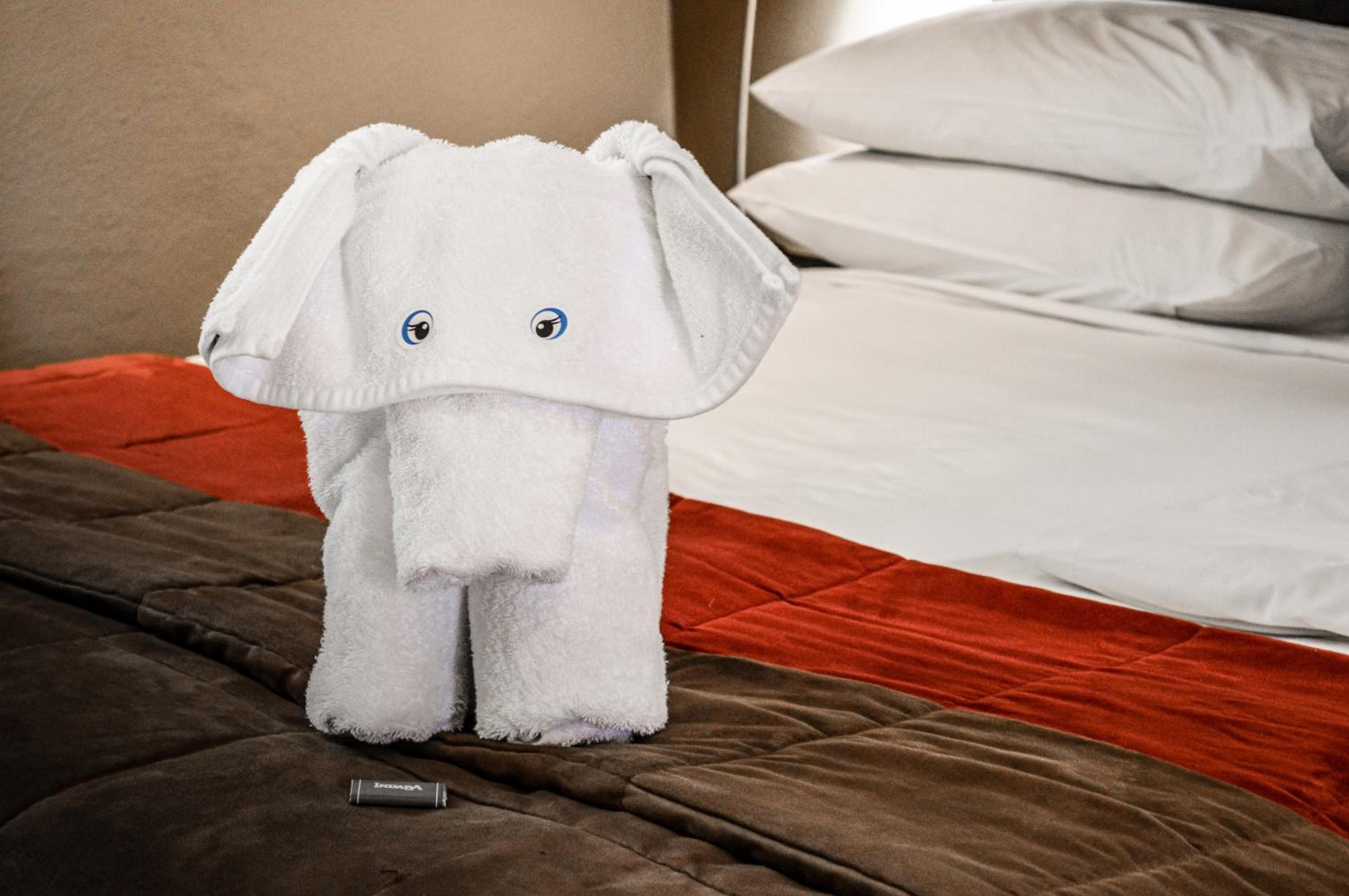 Johannesburg Vacations - Indaba Hotel, Spa Conference Center - Property Image 195