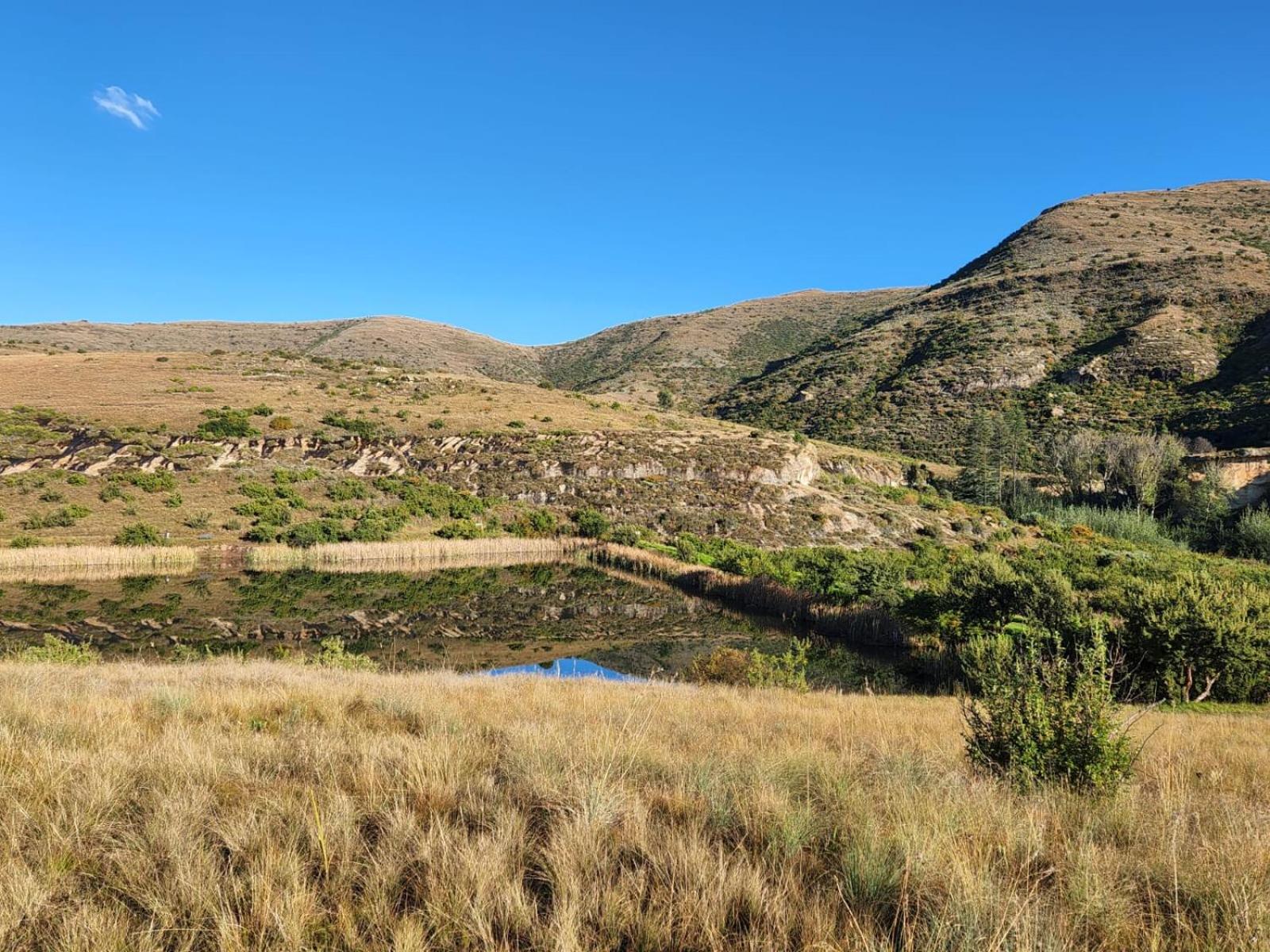 Odendaal's Ridge view 2