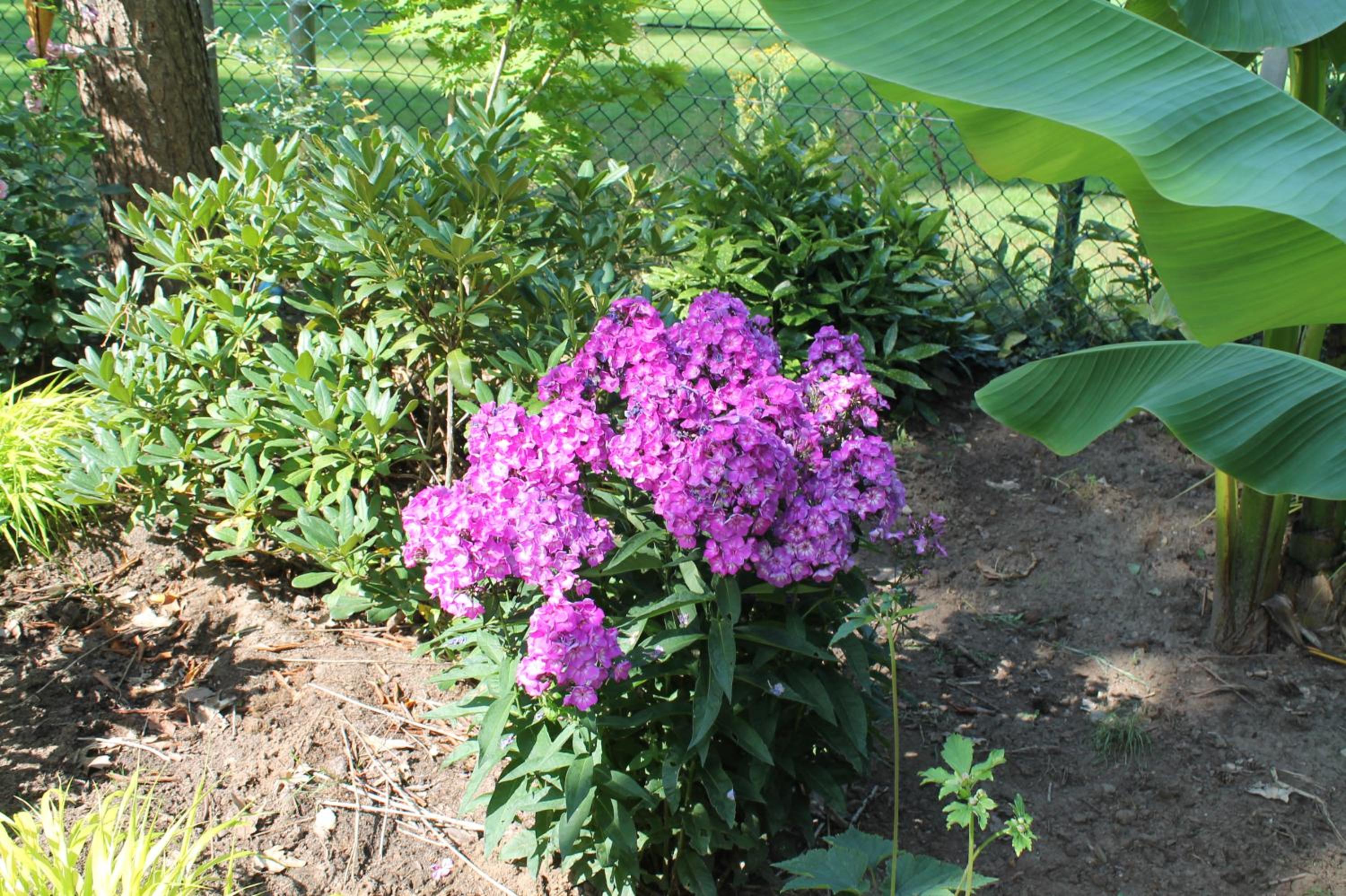 Photo 26