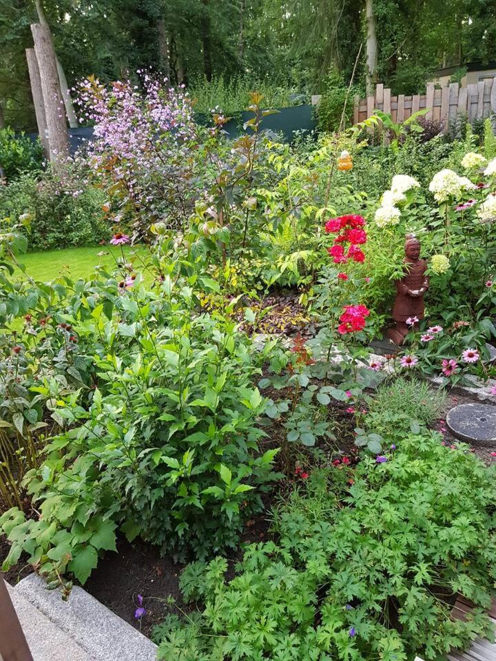 Photo 27
