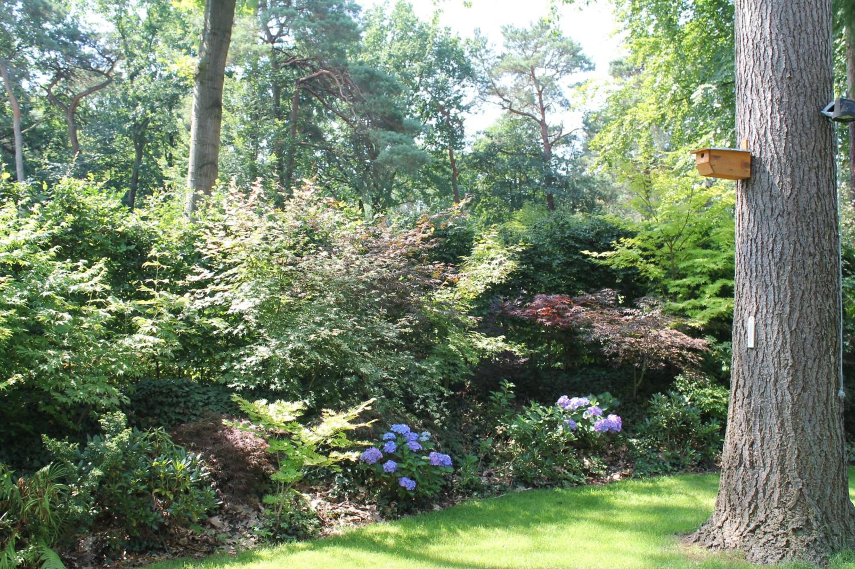 Photo 28