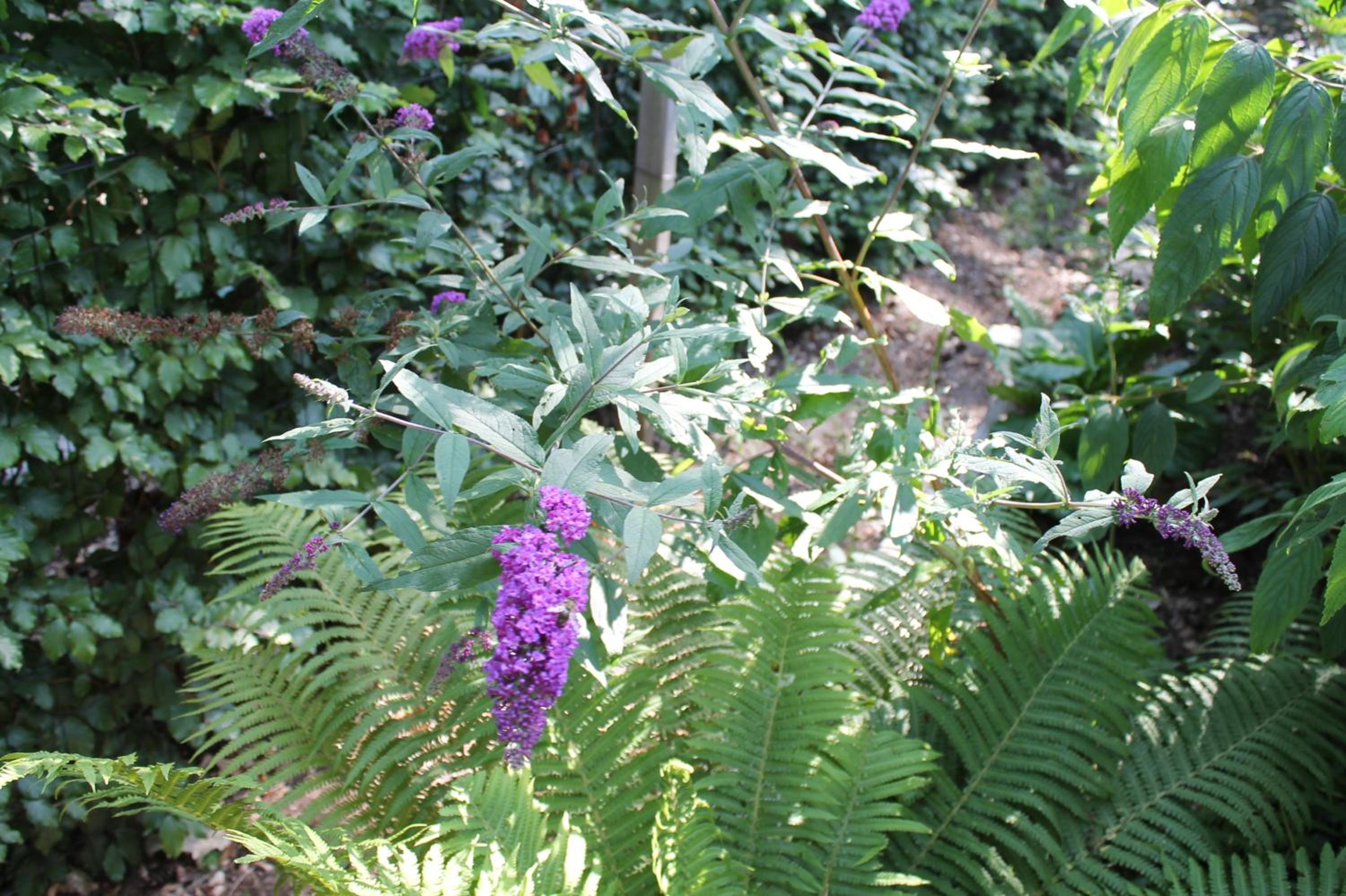 Photo 29