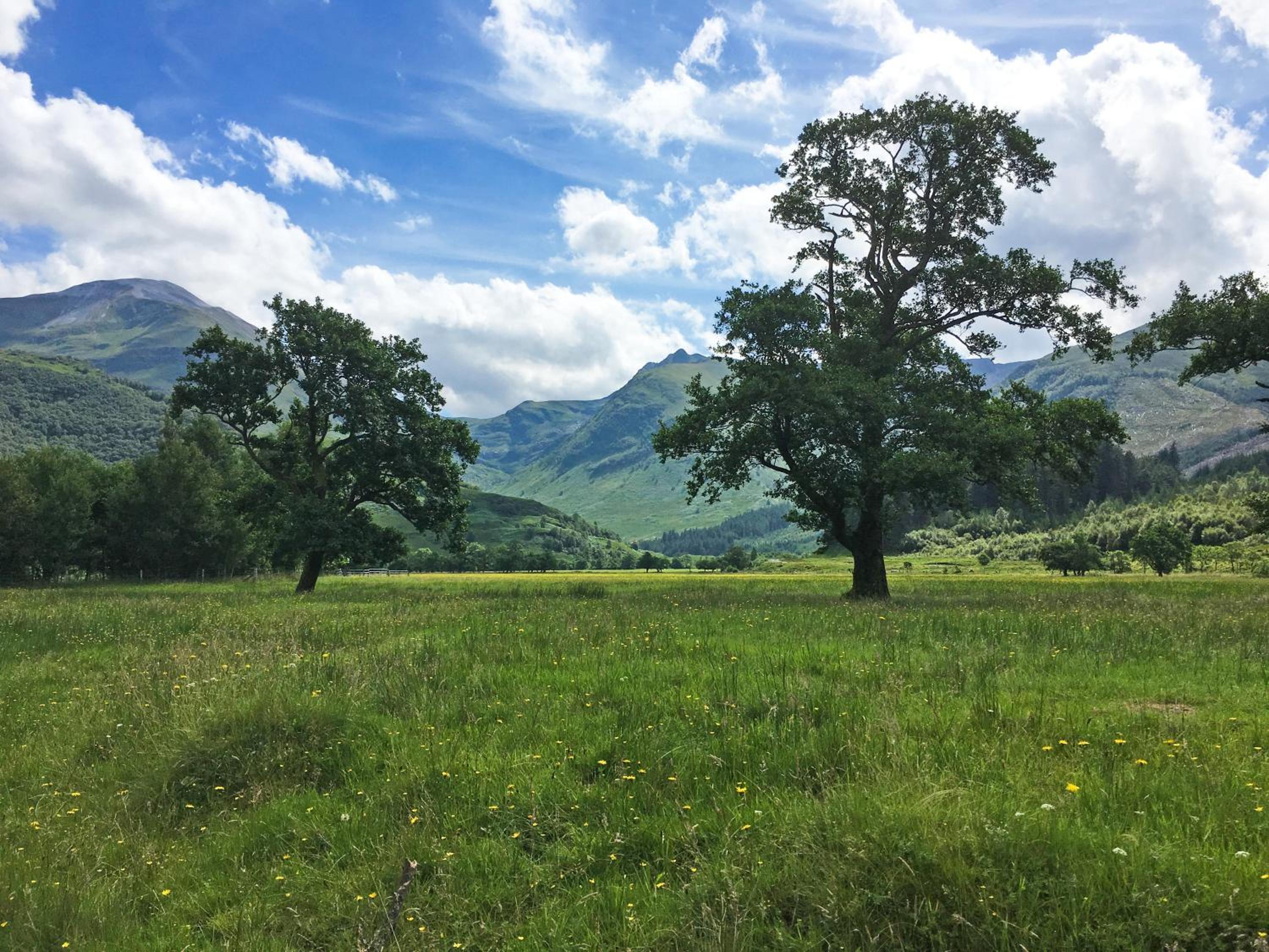 Glen Nevis Holidays