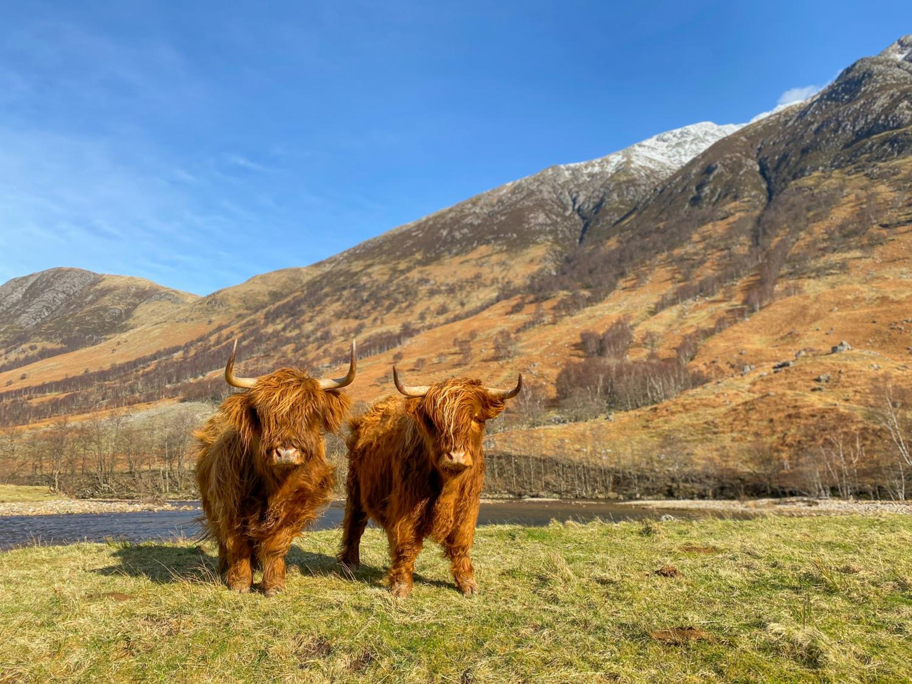Glen Nevis Holidays